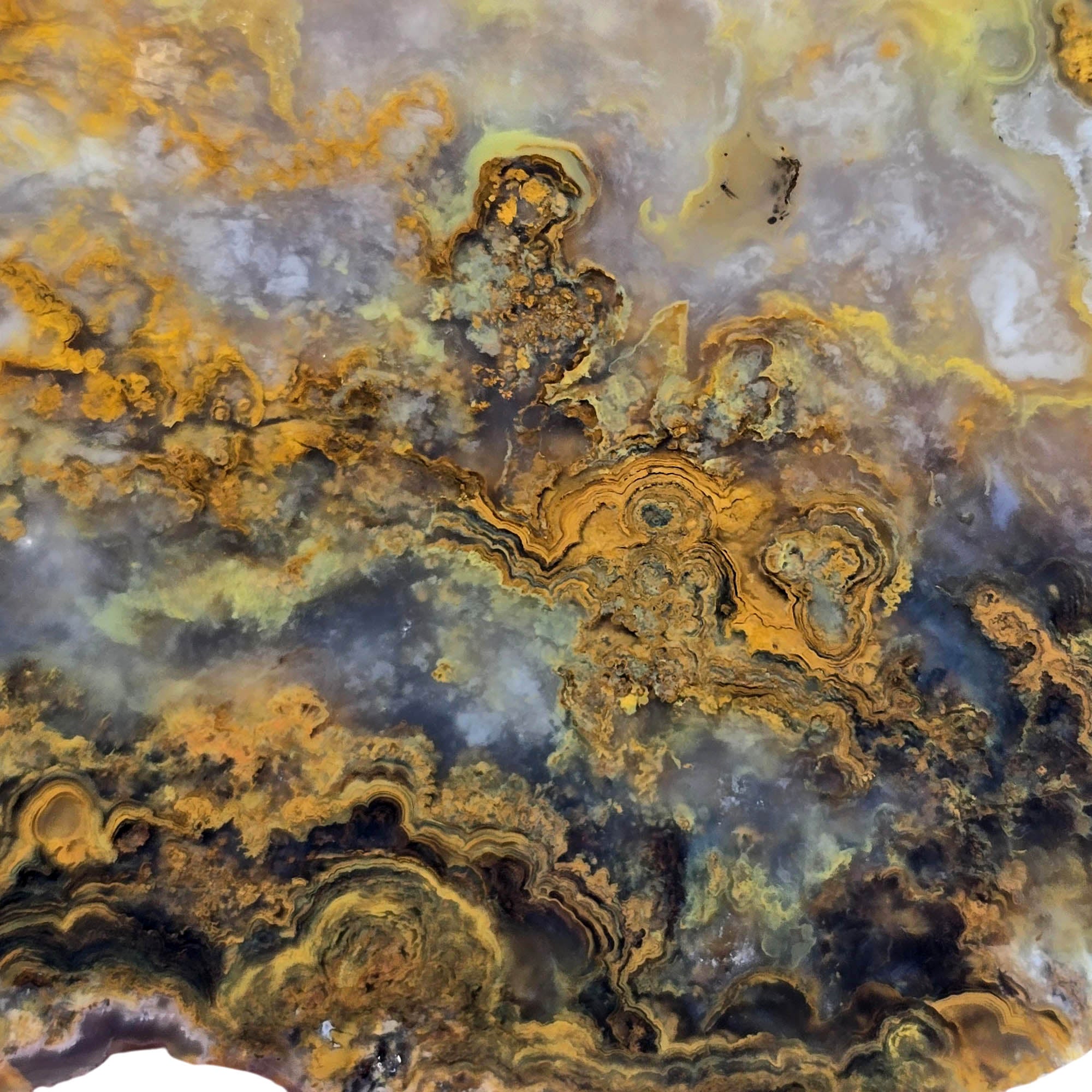 Jumpin' Jeep Plume Agate Slab – Oil Paint Pattern Butterscotch #3874-3