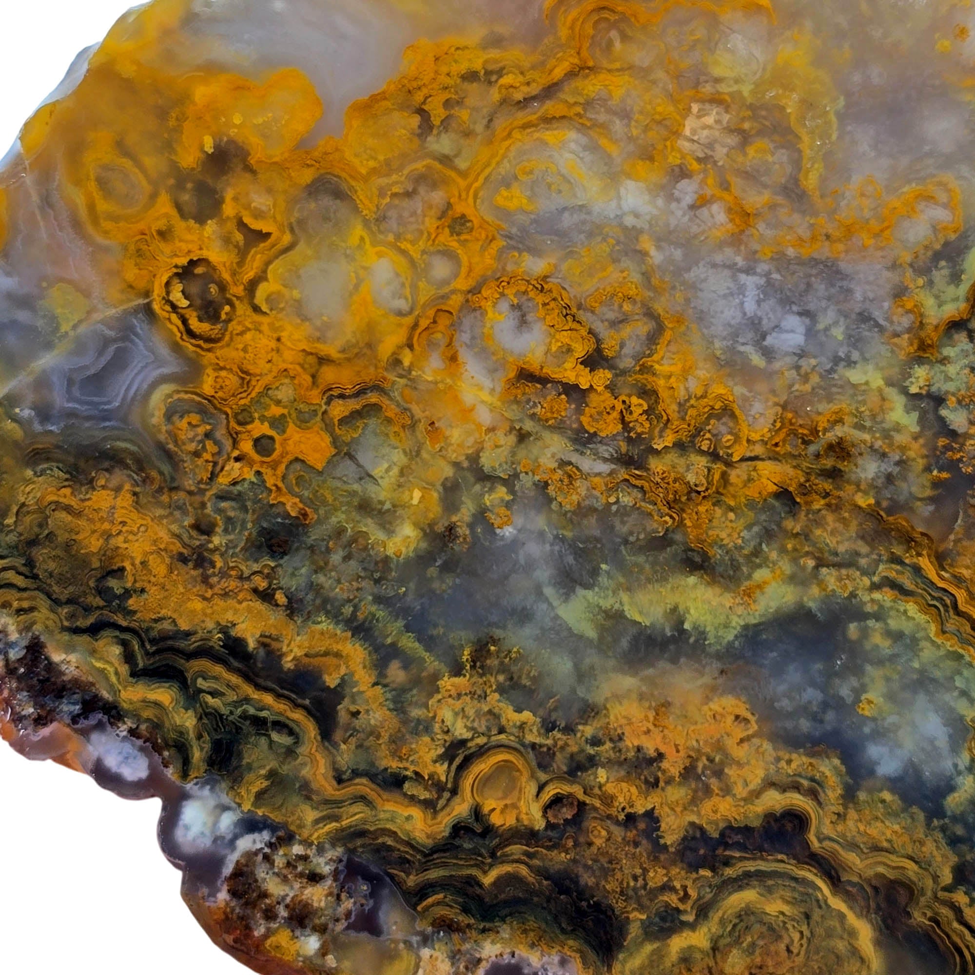 Jumpin' Jeep Plume Agate Slab – Oil Paint Pattern Butterscotch #3874-4