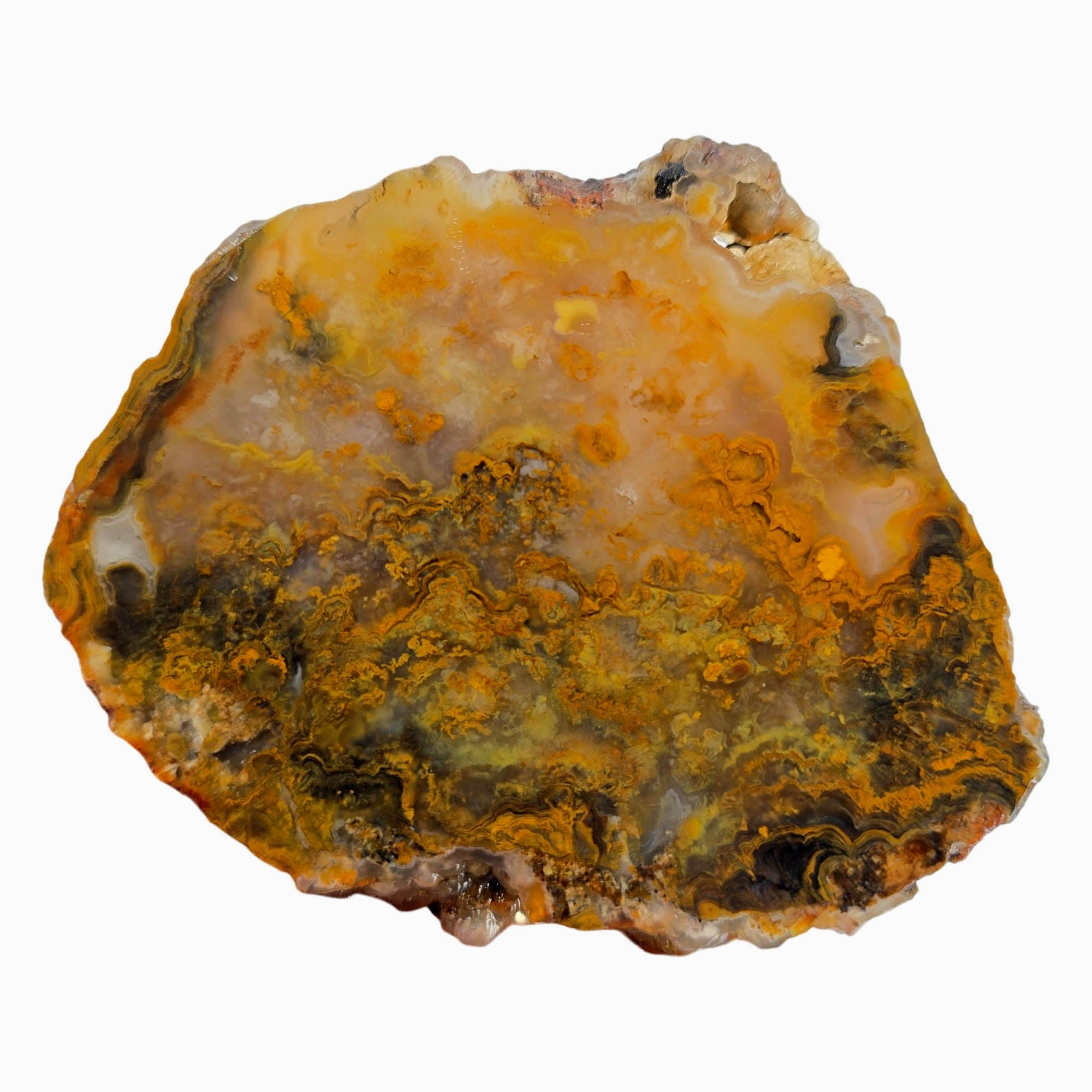 Jumpin' Jeep Plume Agate Slab – Oil Paint Pattern Butterscotch #3874-5