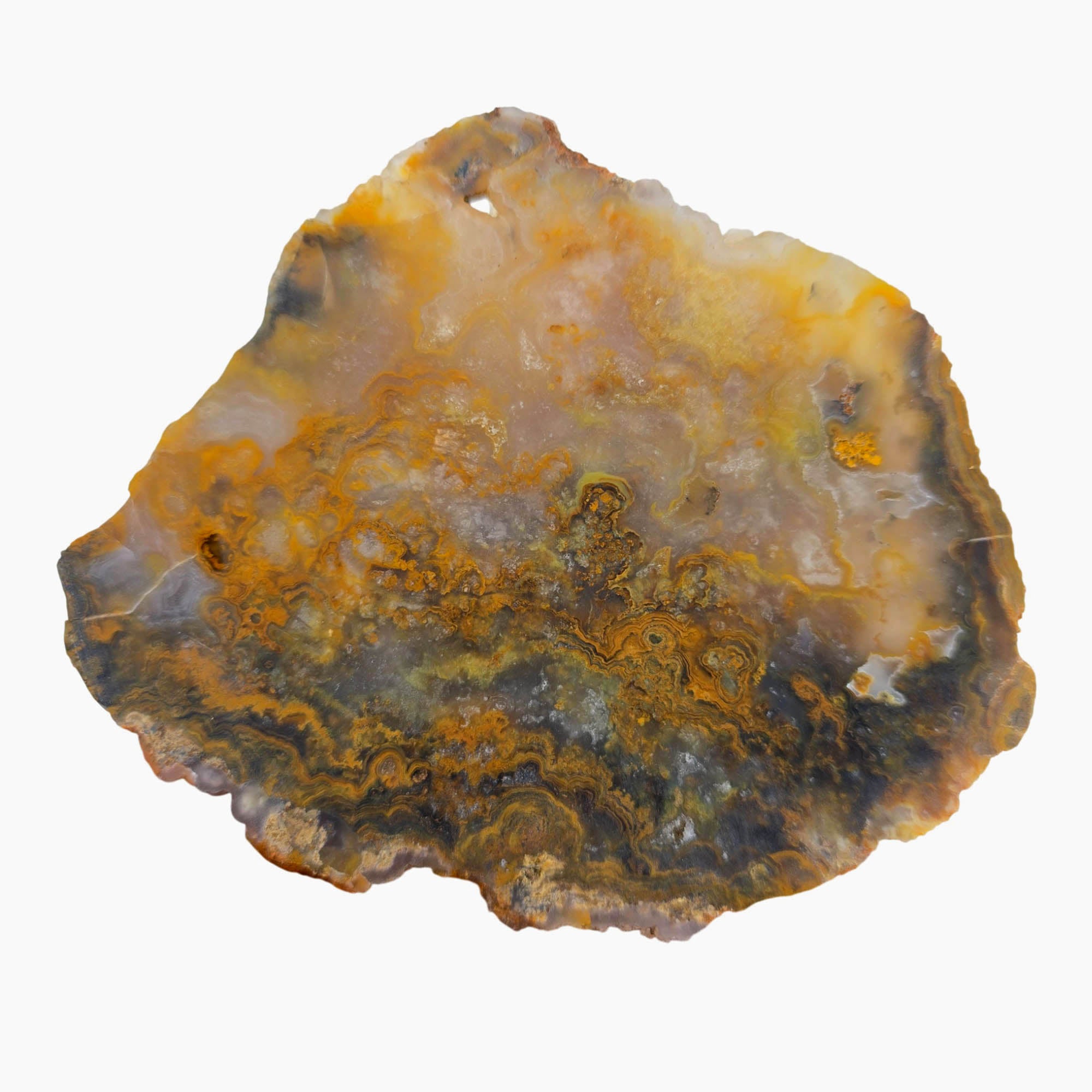 Jumpin' Jeep Plume Agate Slab Dry – Oil Paint Pattern Butterscotch #3874-6