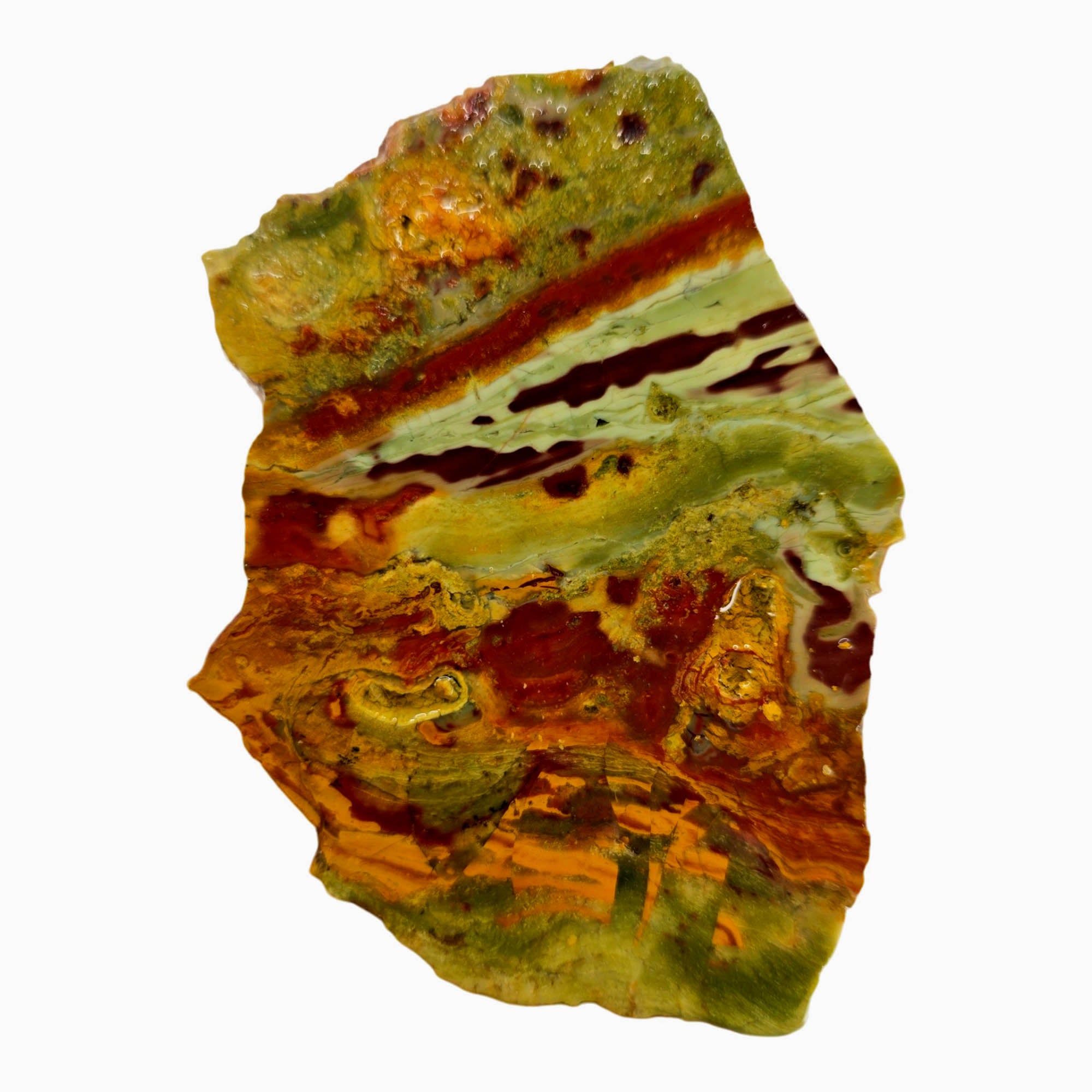 Kaleidoscope Jasper Slab - Pseudo-Flame Deposit Oregon Bog Wood #3875-Photo1