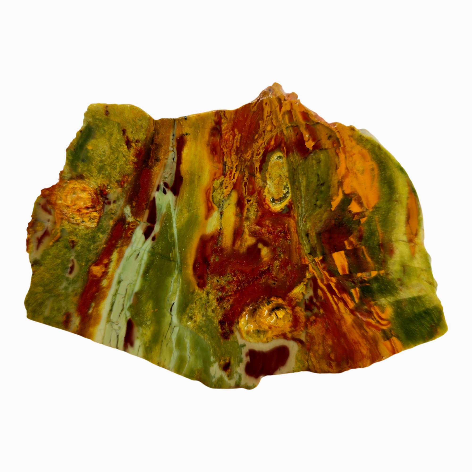 Kaleidoscope Jasper Slab - Pseudo-Flame Deposit Oregon Bog Wood #3875-Photo2