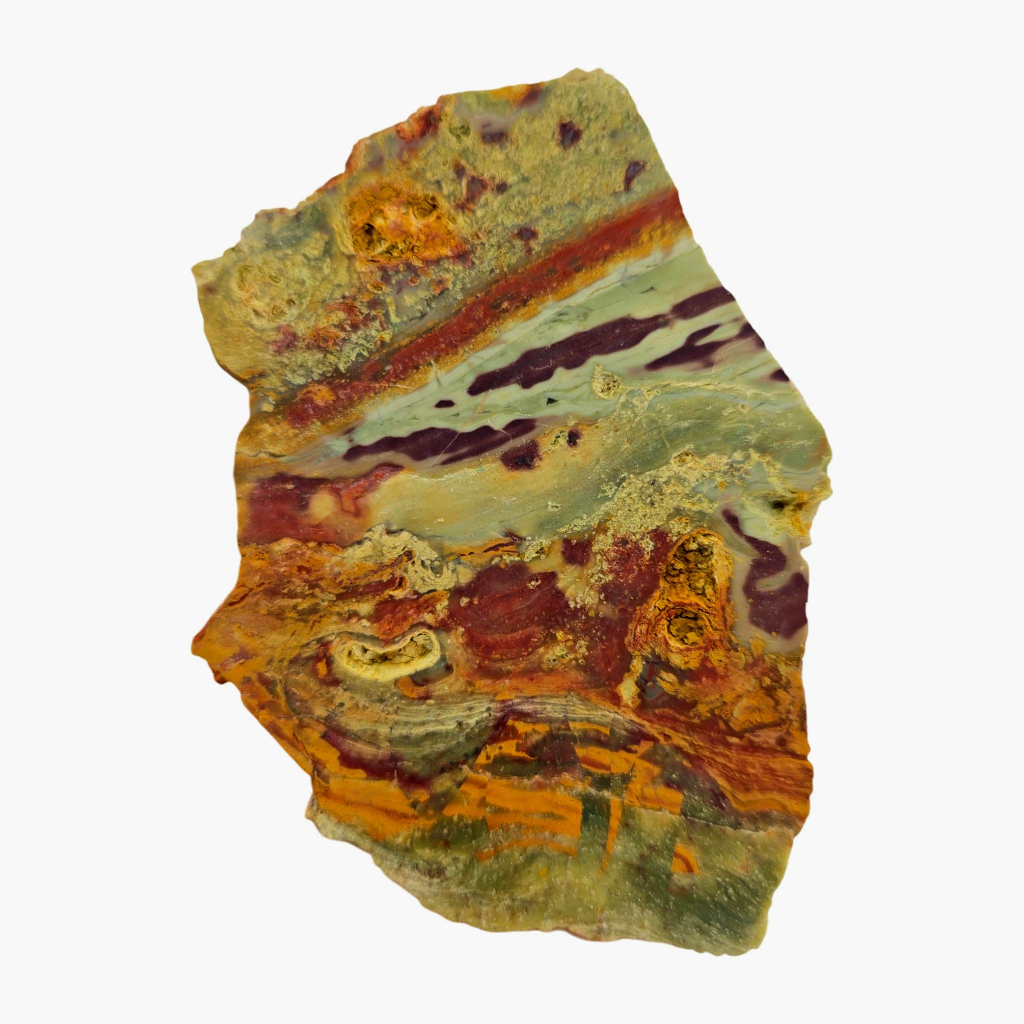 Kaleidoscope Jasper Slab Dry - Pseudo-Flame Deposit Oregon Bog Wood #3875-Photo3