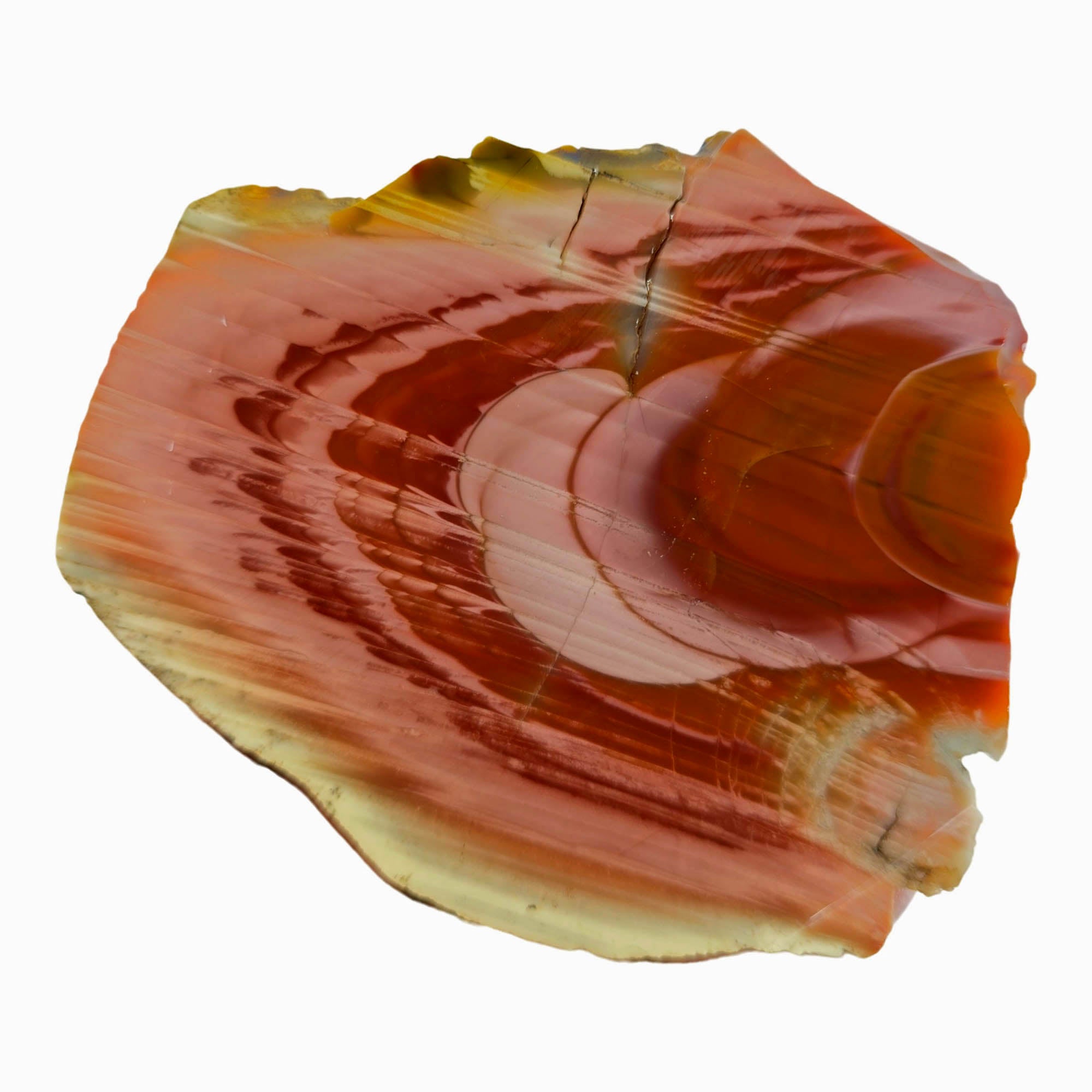 Royal Imperial Jasper Slab - Pink Red Orbs Wavy Pattern #3878-Photo3