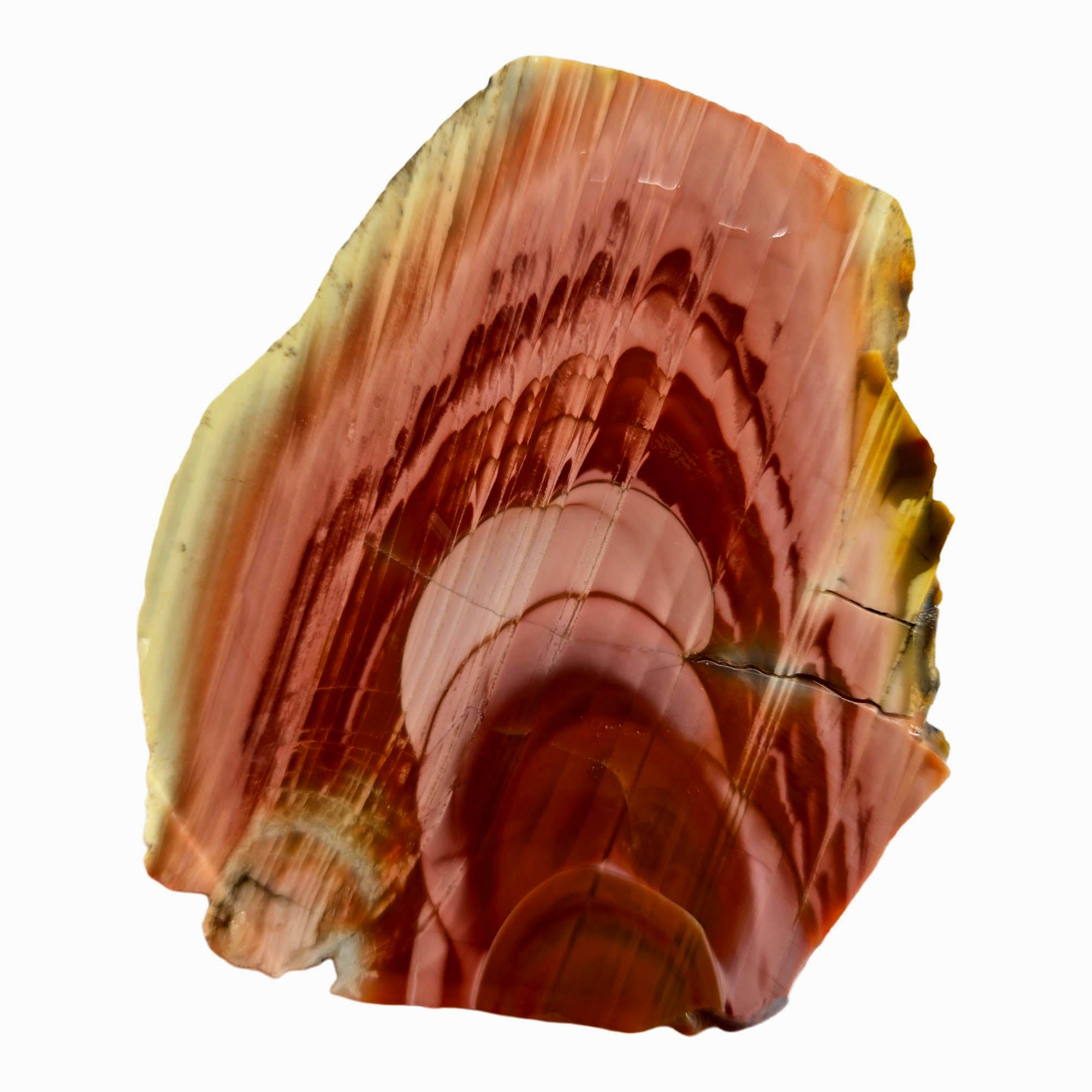 Royal Imperial Jasper Slab - Pink Red Orbs Wavy Pattern #3878-Photo4