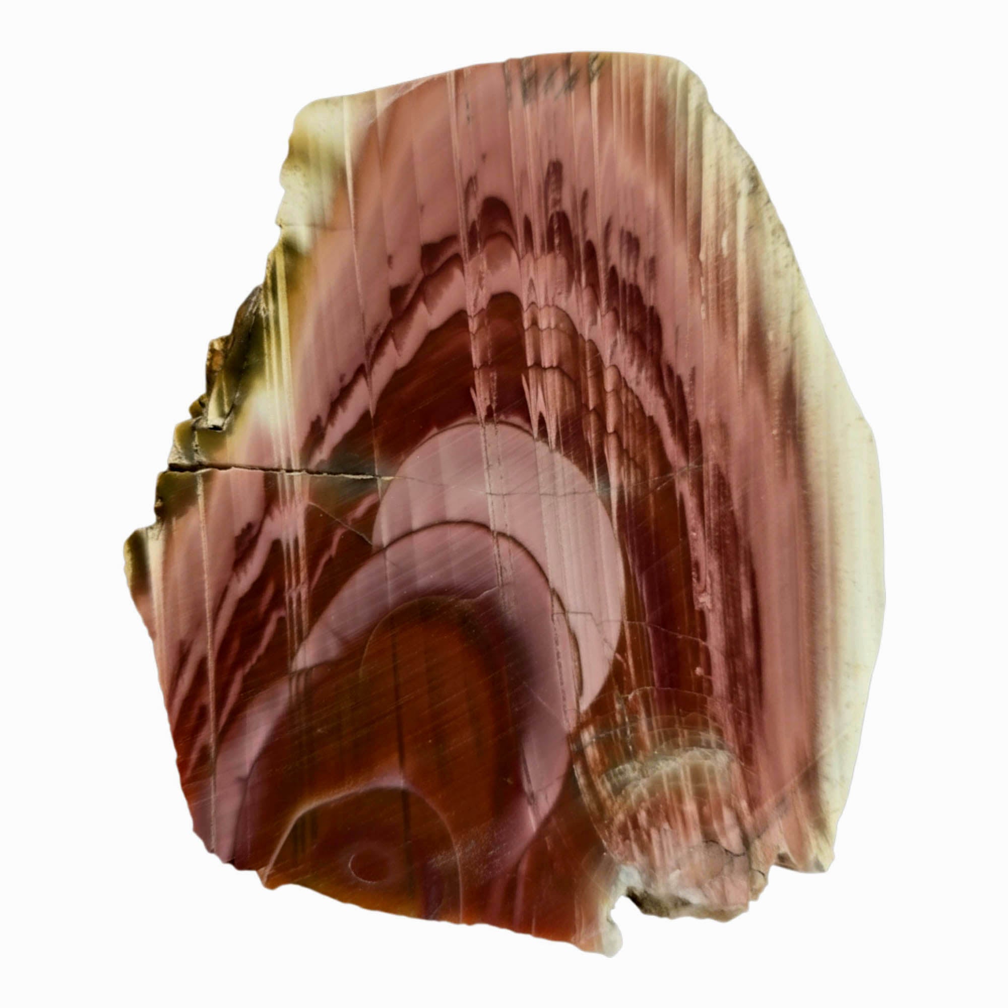 Royal Imperial Jasper Slab Dry - Pink Red Orbs Wavy Pattern #3878-Photo5