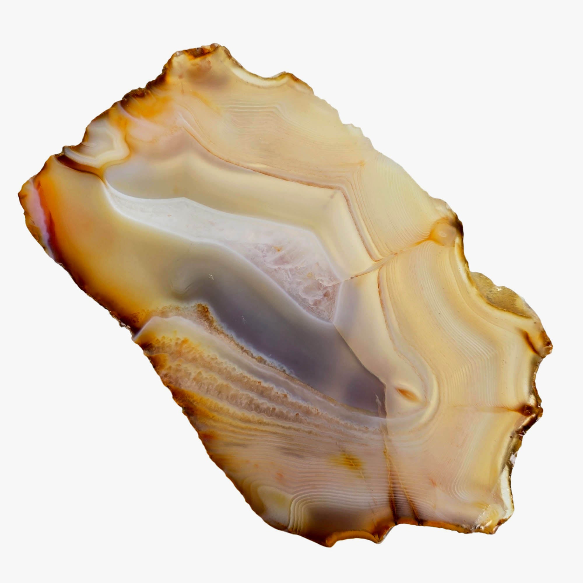 Brazilian Agate Slab – Creamy White Fortification Banding Quartz! #3879-Photo2