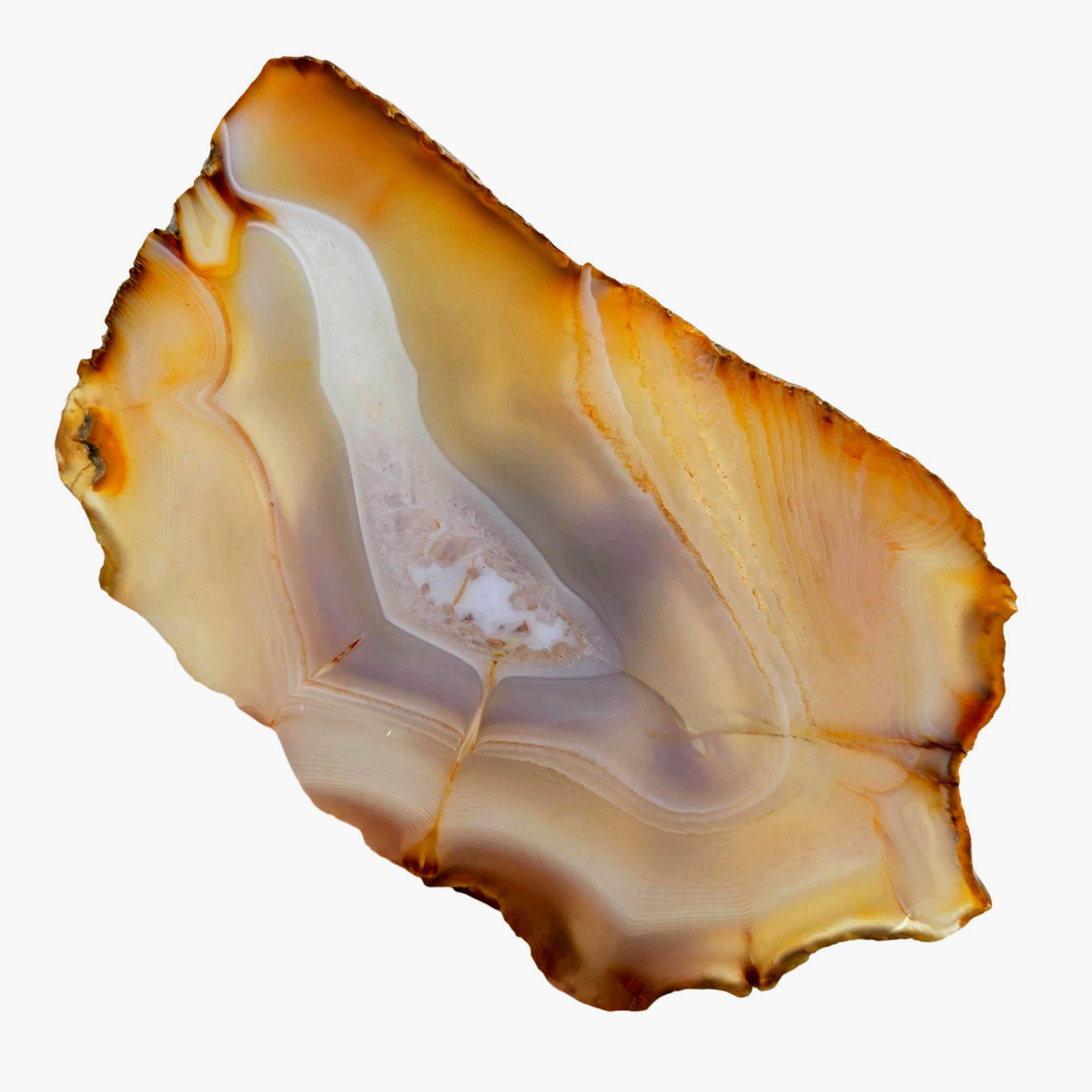 Brazilian Agate Slab – Creamy White Fortification Banding Quartz! #3879-Photo3