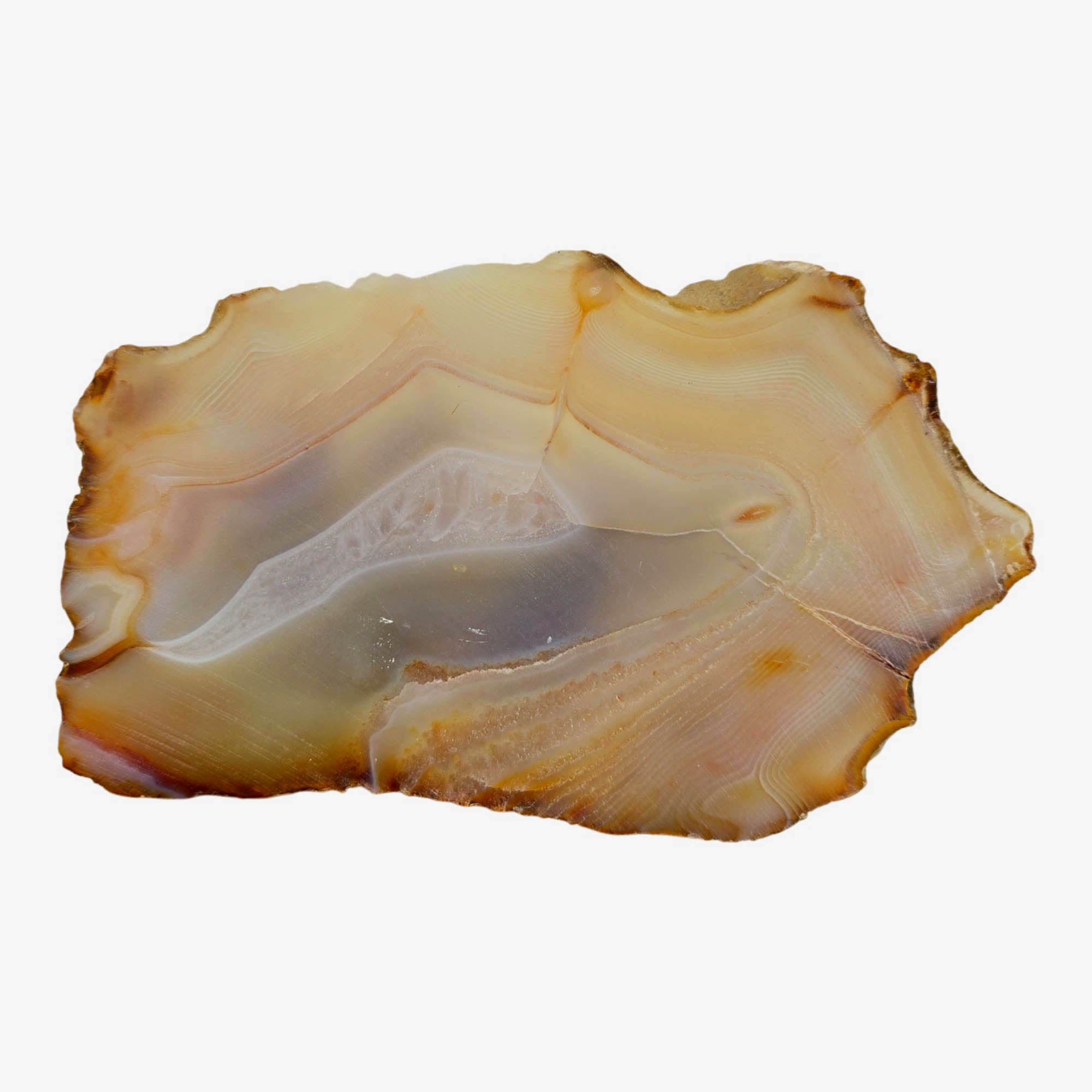 Brazilian Agate Slab Dry – Creamy White Fortification Banding! #3879-Photo4