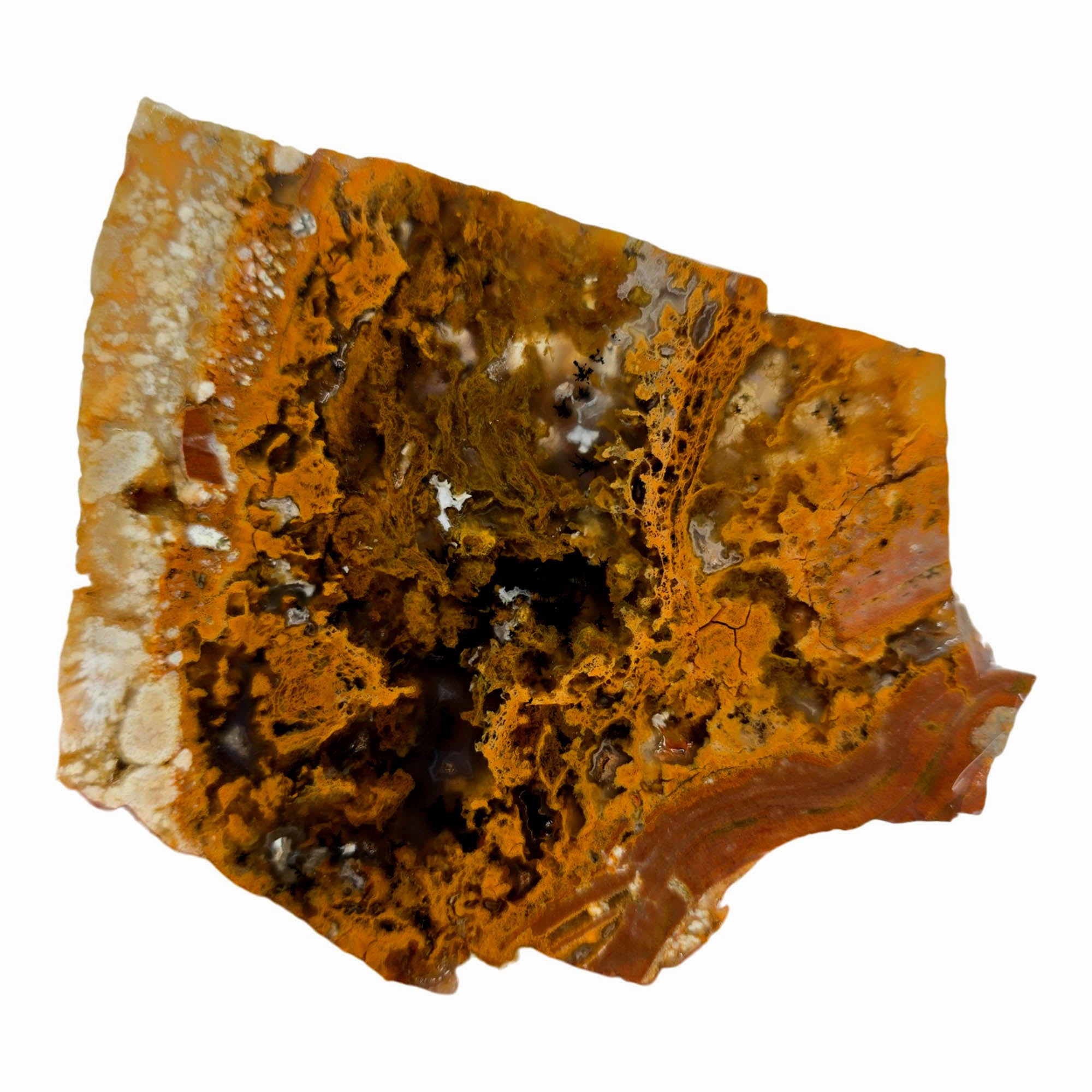 Eagle Rock Plume Agate Slab – Golden Moss Black Background Oregon #3880-Photo4