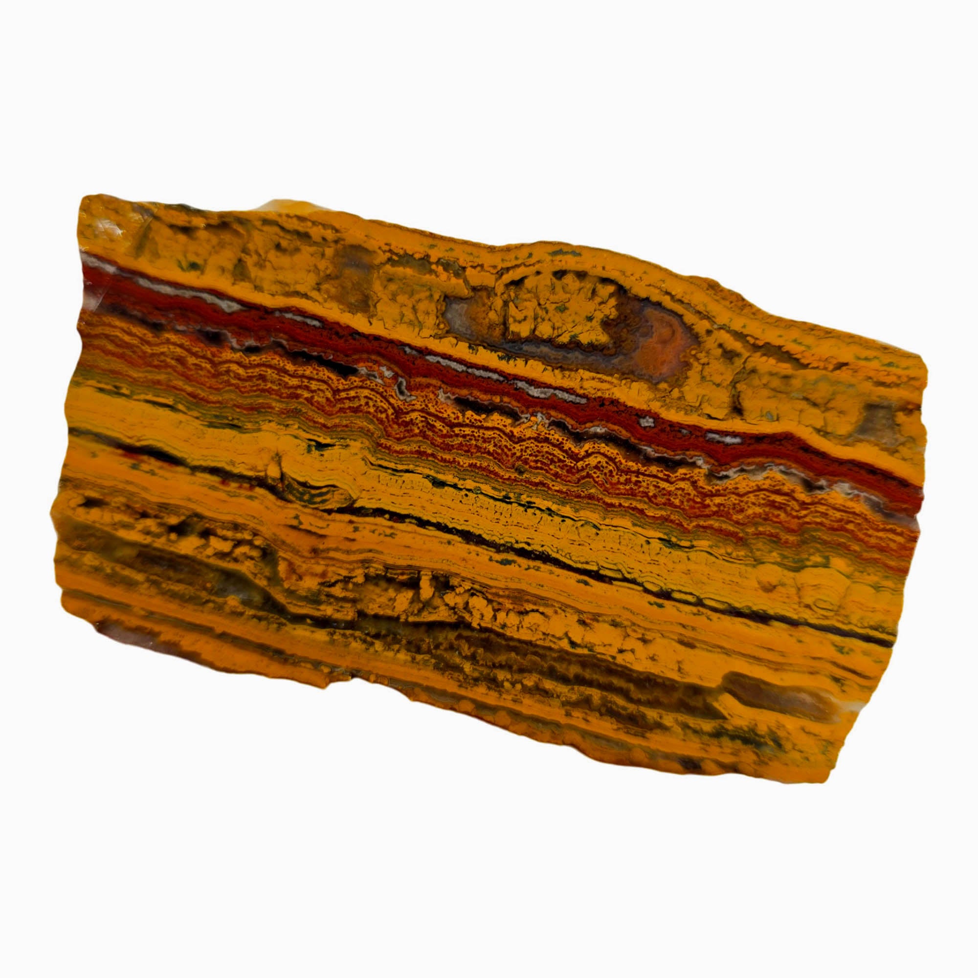 Apple Valley Jasper Slab - Wavy Stromatolites Hematite Sahara Morocco #3881-Photo2