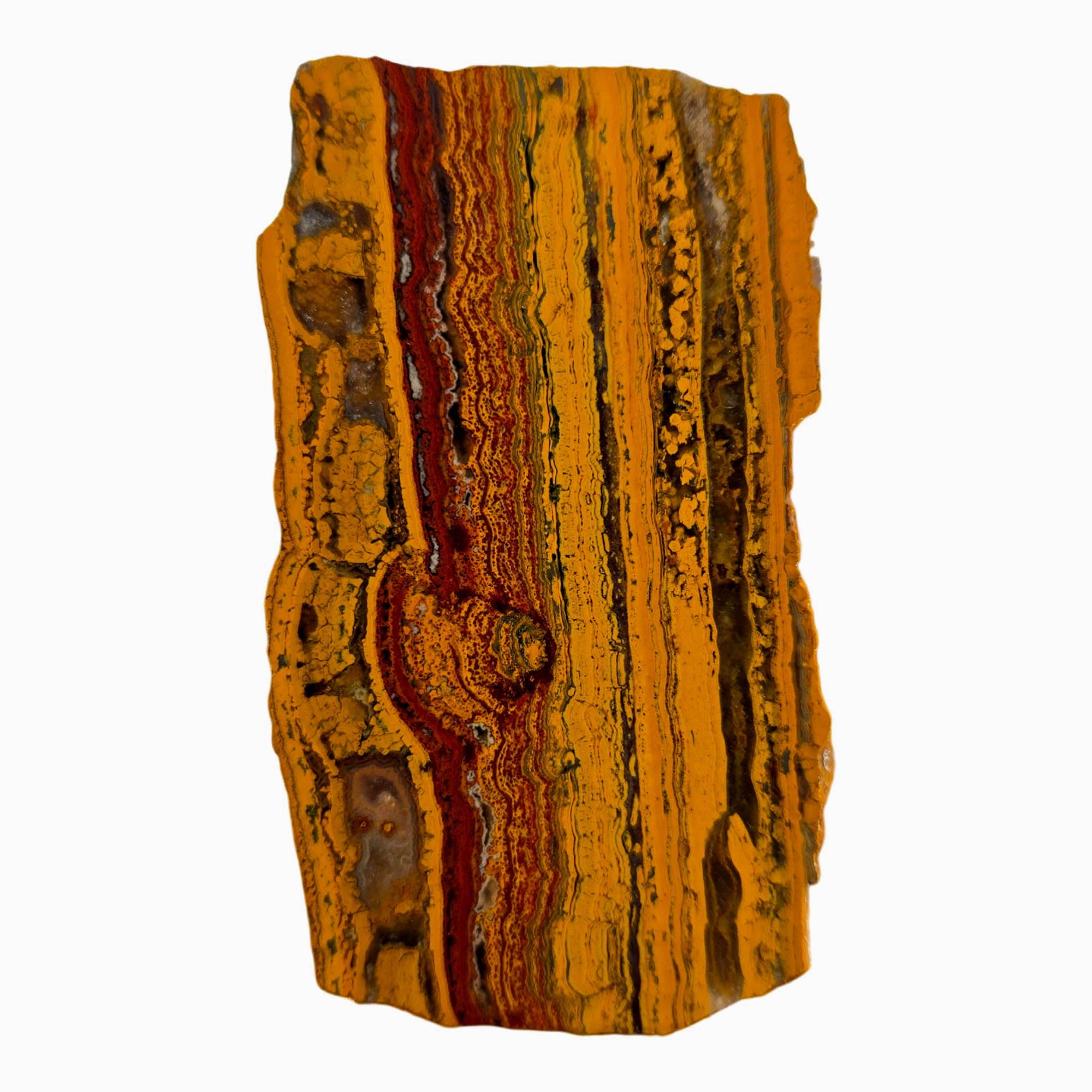 Apple Valley Jasper Slab - Wavy Stromatolites Hematite Sahara Morocco #3881-Photo3