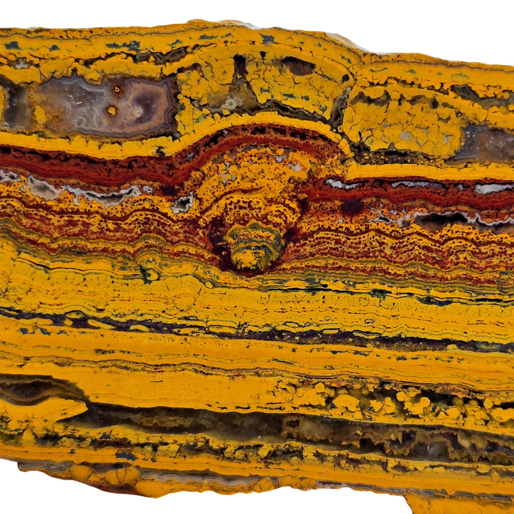 Apple Valley Jasper Slab - Wavy Stromatolites Hematite Sahara Morocco #3881-Photo4