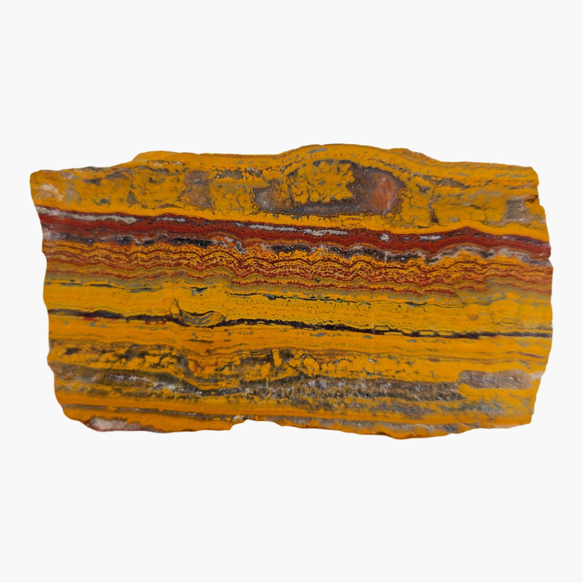 Apple Valley Jasper Slab Dry - Wavy Stromatolites Hematite Sahara Morocco #3881-Photo5