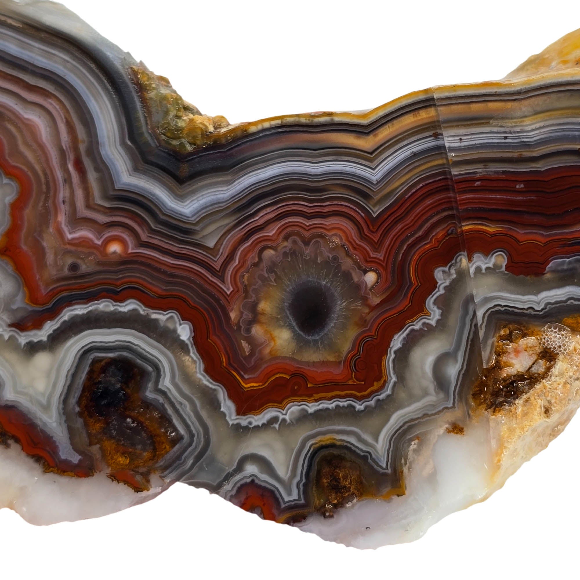 Crazy Lace Agate Slab – Spectacular Banding Bright Red Mexico #3883-2