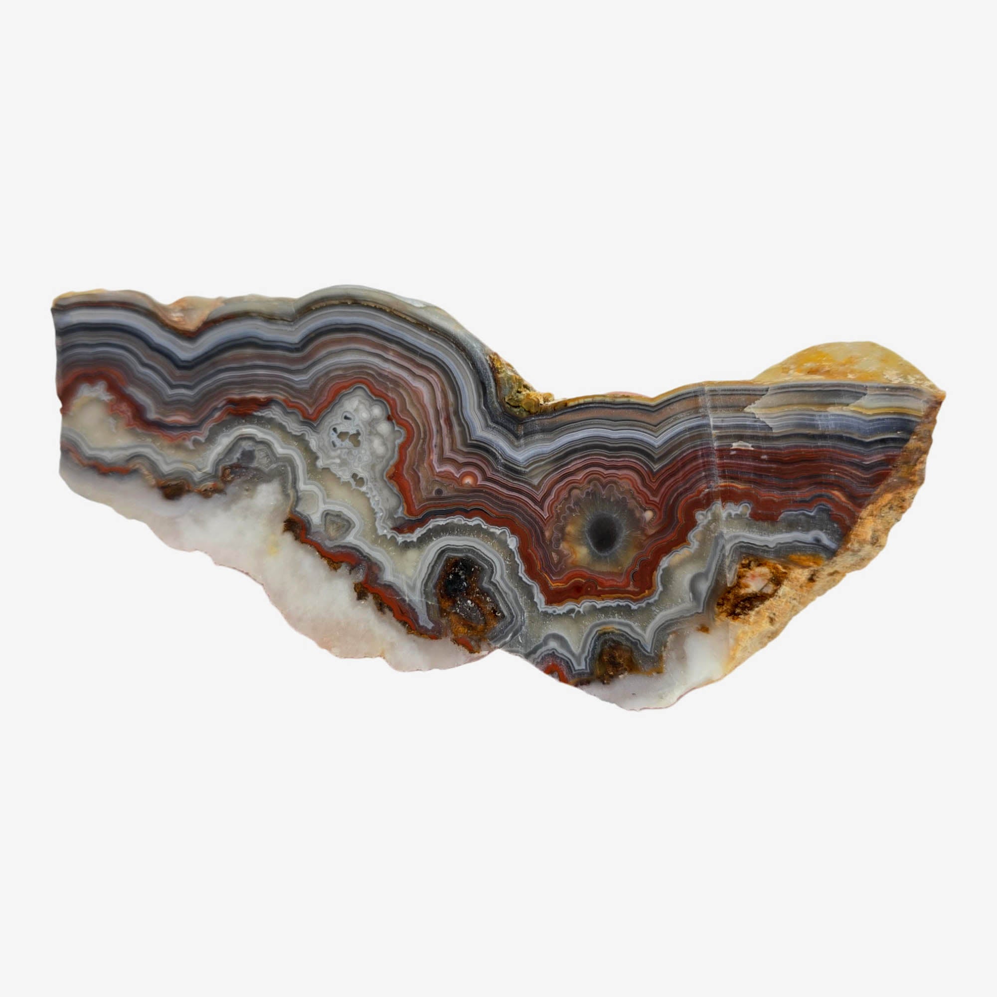 Crazy Lace Agate Slab Dry – Spectacular Banding Bright Red Mexico #3883-6