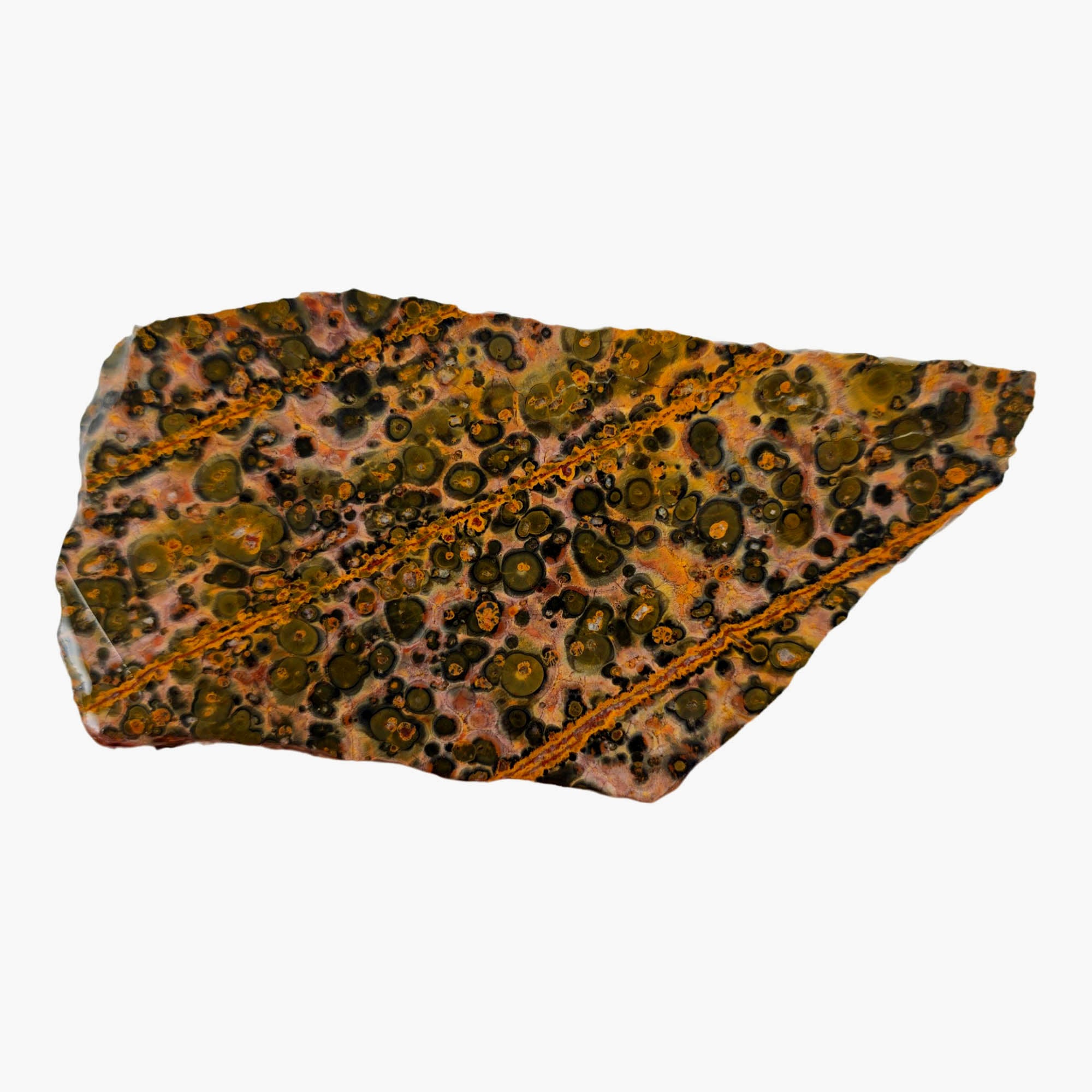 Leopard Skin Rhyolite Slab – Spotted Pattern Sunset Colors! #3884-Photo1