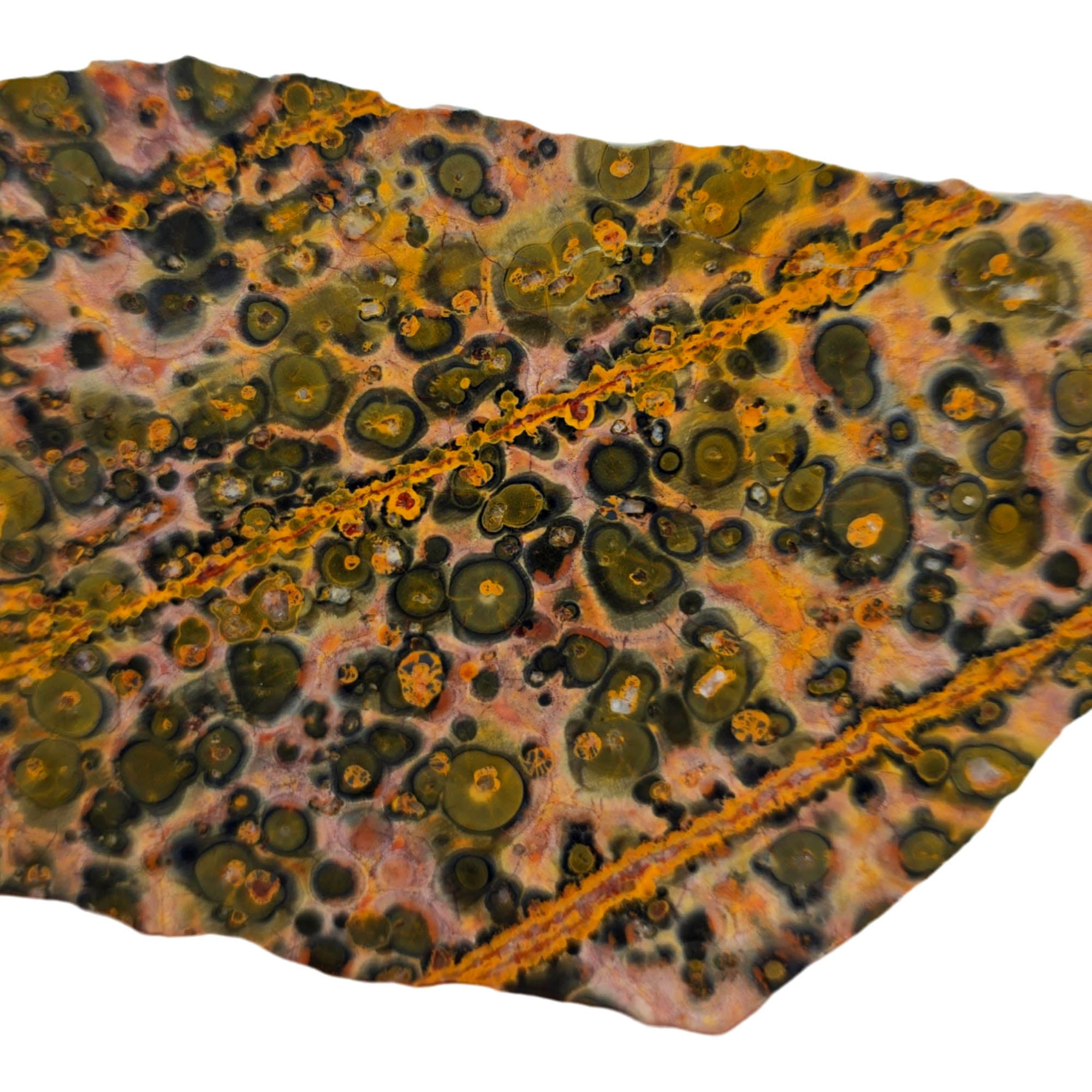 Leopard Skin Rhyolite Slab – Spotted Pattern Sunset Colors! #3884-Photo2