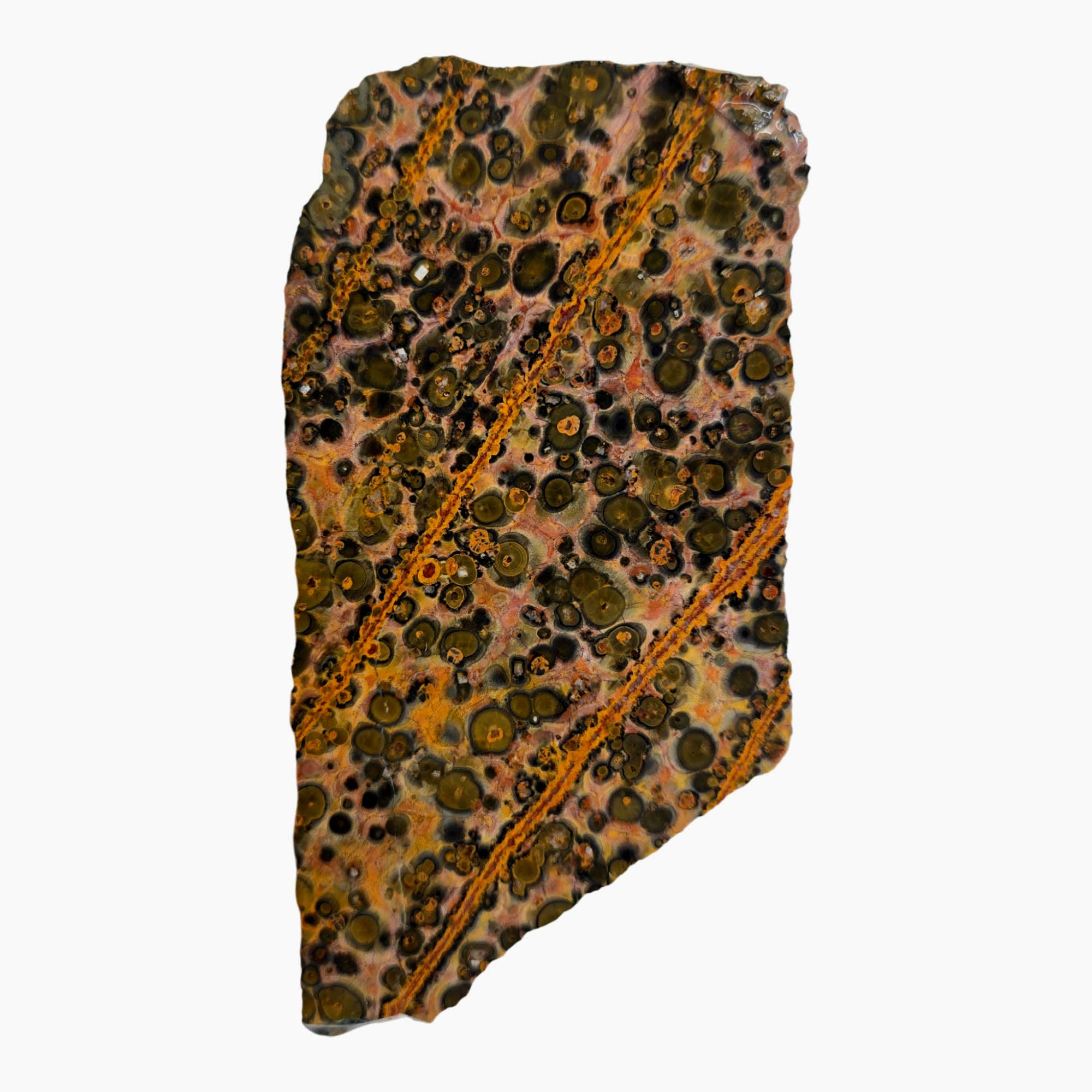 Leopard Skin Rhyolite Slab – Spotted Pattern Sunset Colors! #3884-Photo3