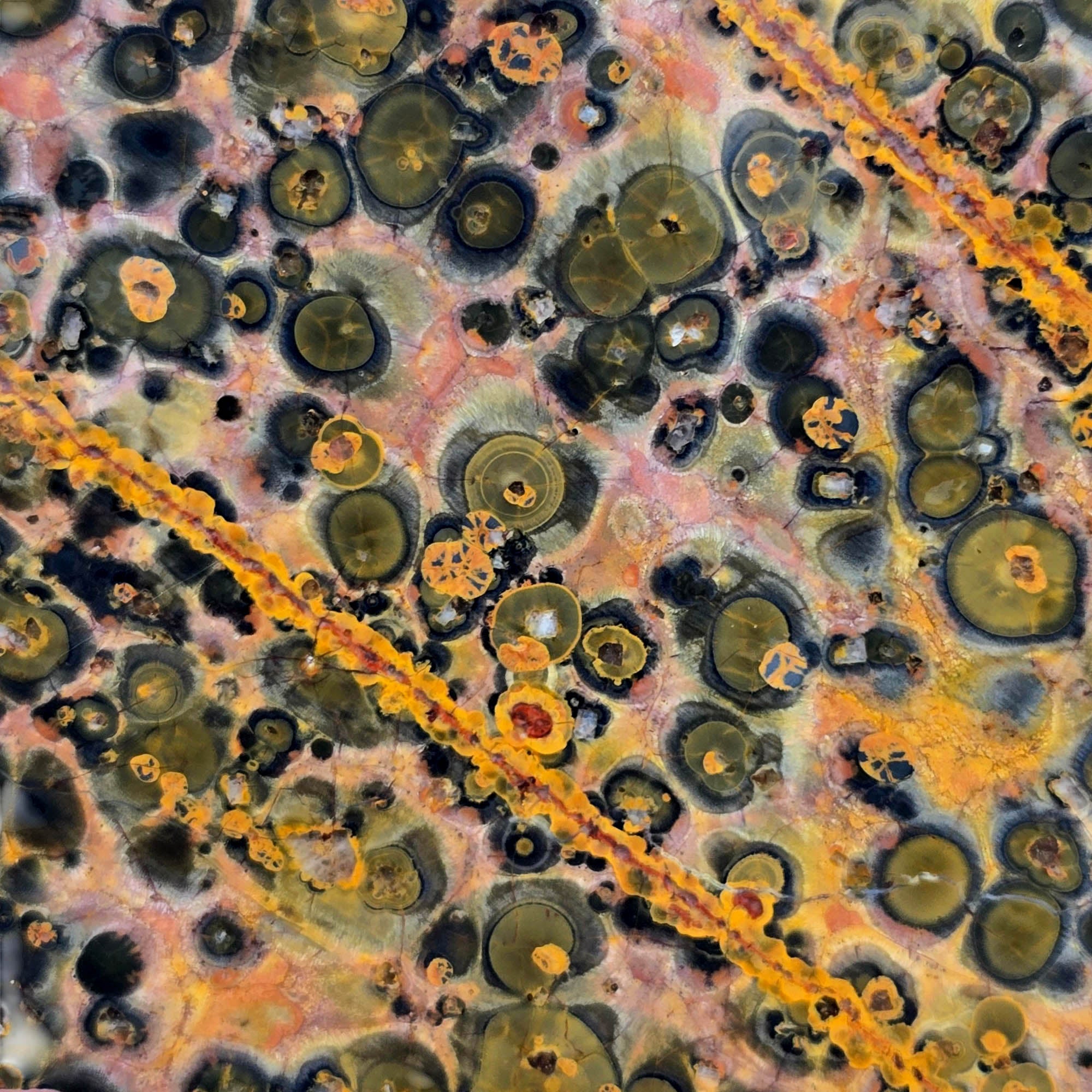 Leopard Skin Rhyolite Slab – Spotted Pattern Sunset Colors! #3884-Photo4