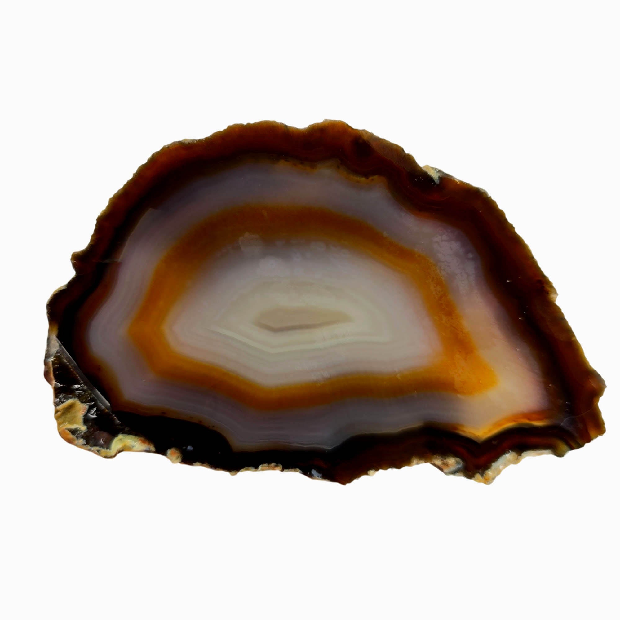 Brazilian Agate Slab – Classic Fortification Pattern Display Quality #3886-2