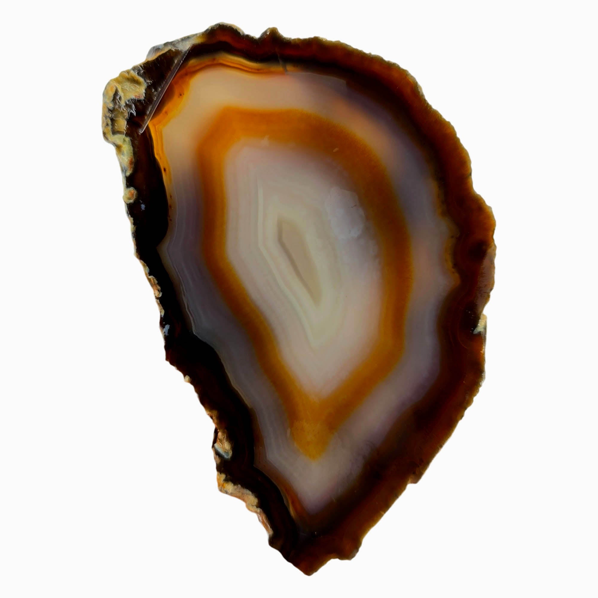 Brazilian Agate Slab – Classic Fortification Pattern Display Quality #3886-3