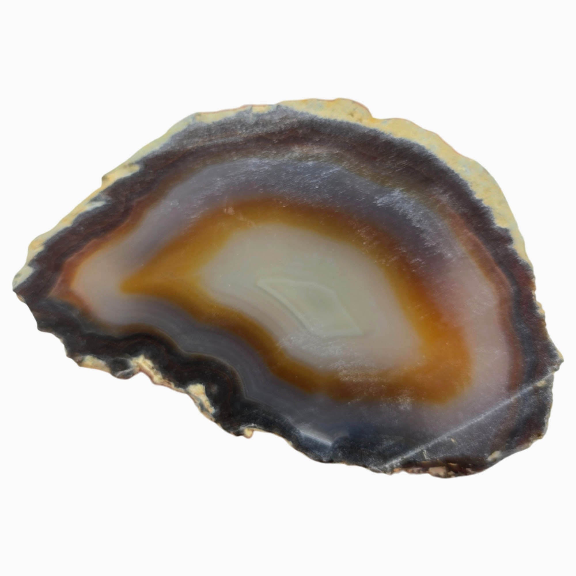 Brazilian Agate Slab Dry – Classic Fortification Pattern Display Quality #3886-4