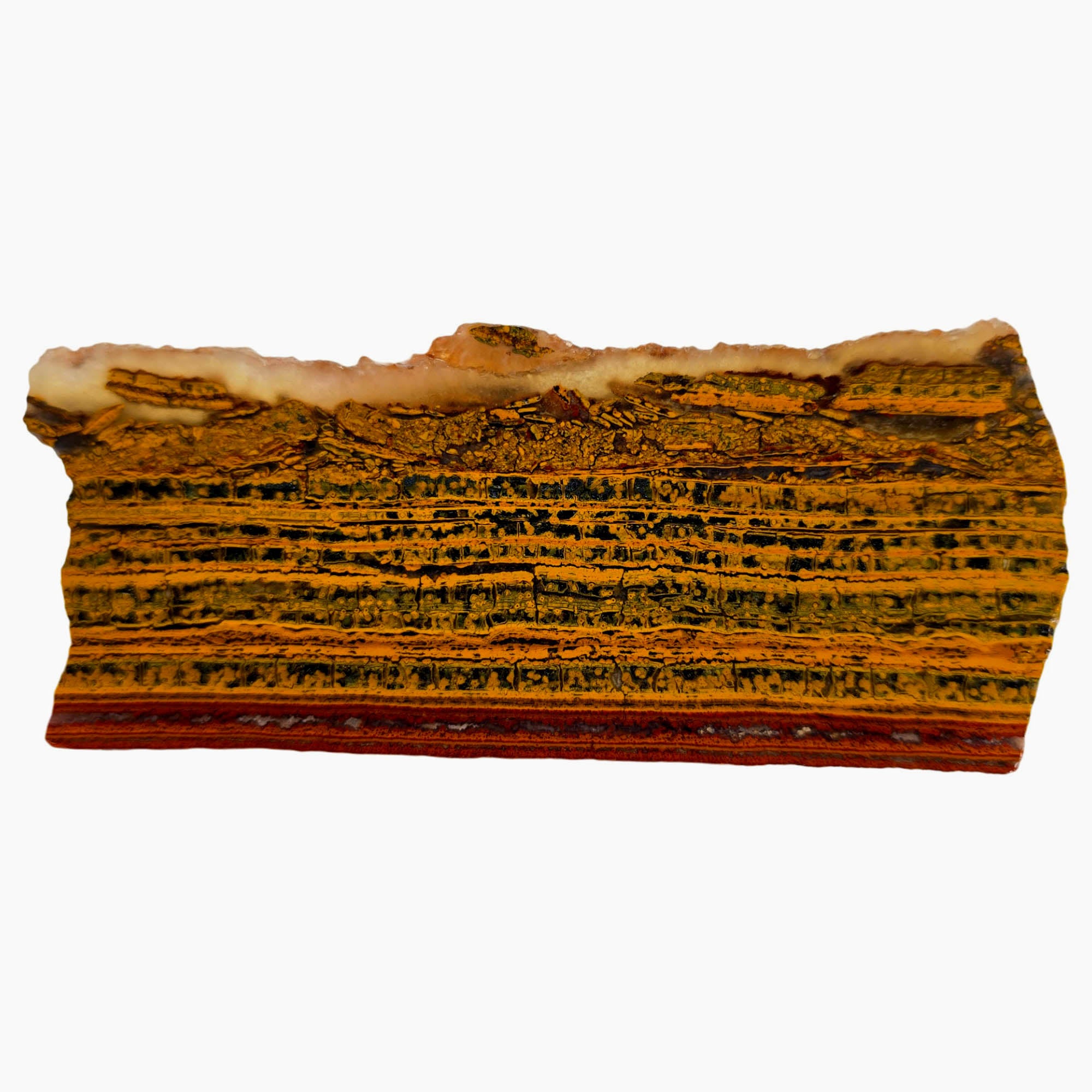 Apple Valley Jasper Slab - Sparkly Stromatolite Colony Formations Sahara #3887-Photo2