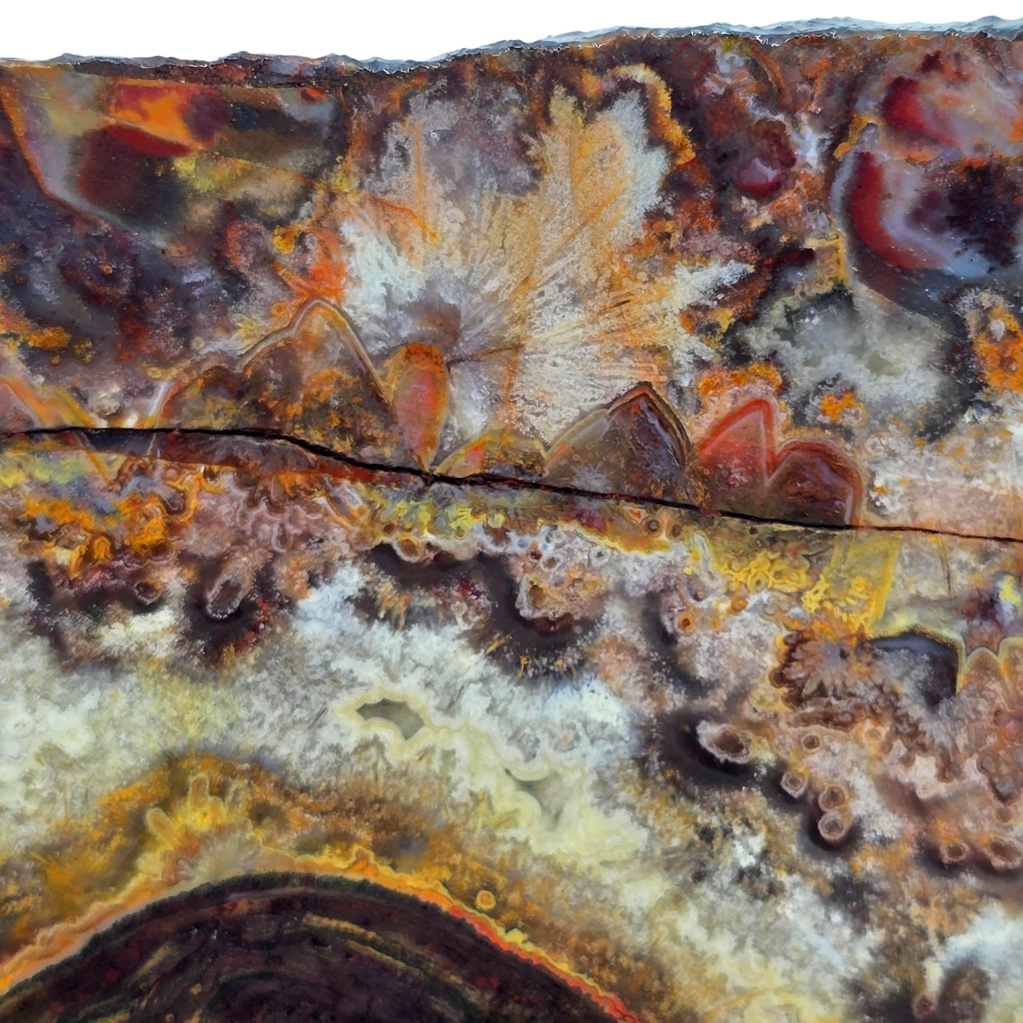 Sarape Jasper Slab - Wild Fireworks Pattern Red Black Mexican #3888-Photo6