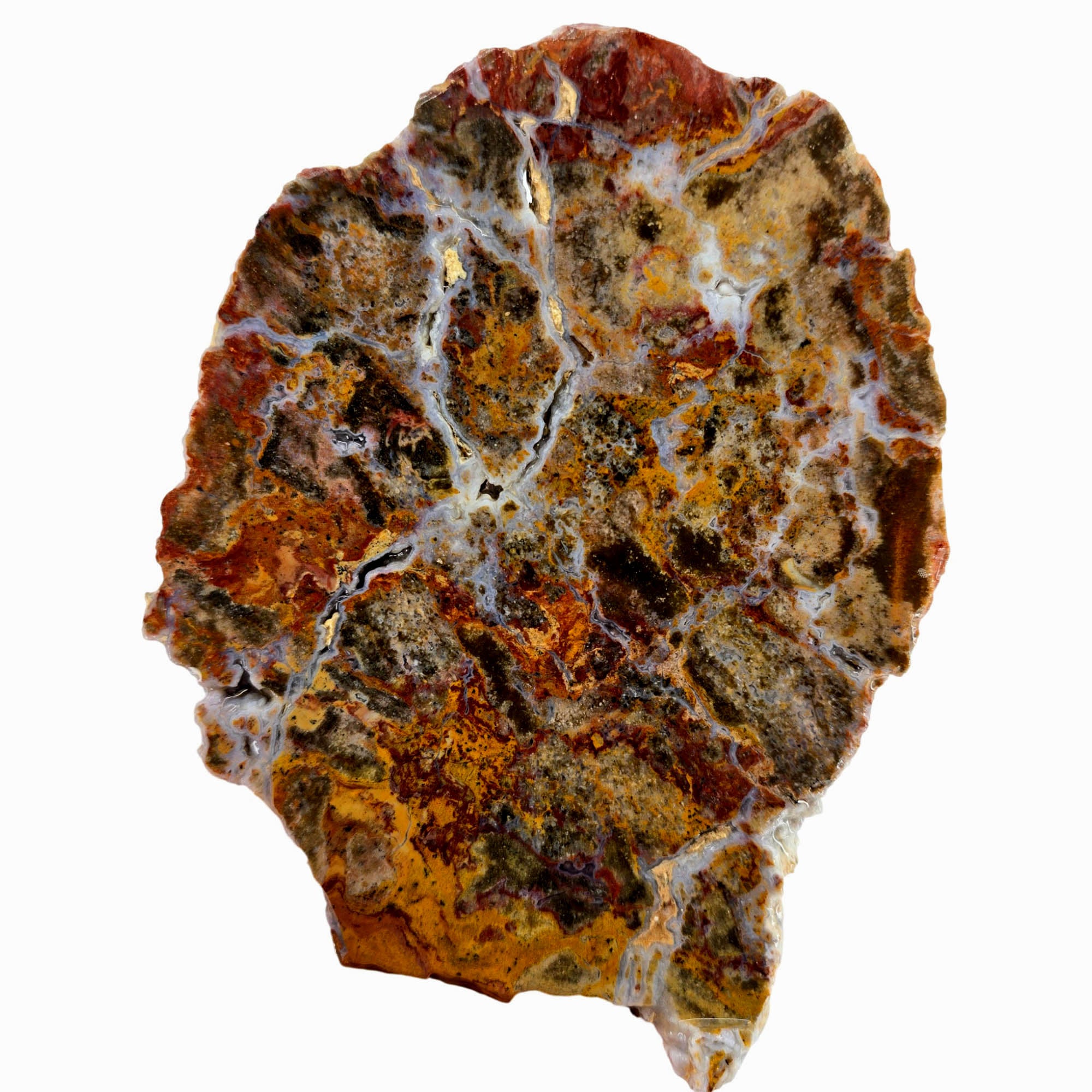 Hidden Canyon Moss Jasper Slab – Blue Druzy Flowing Splotches Utah #3890-Photo3
