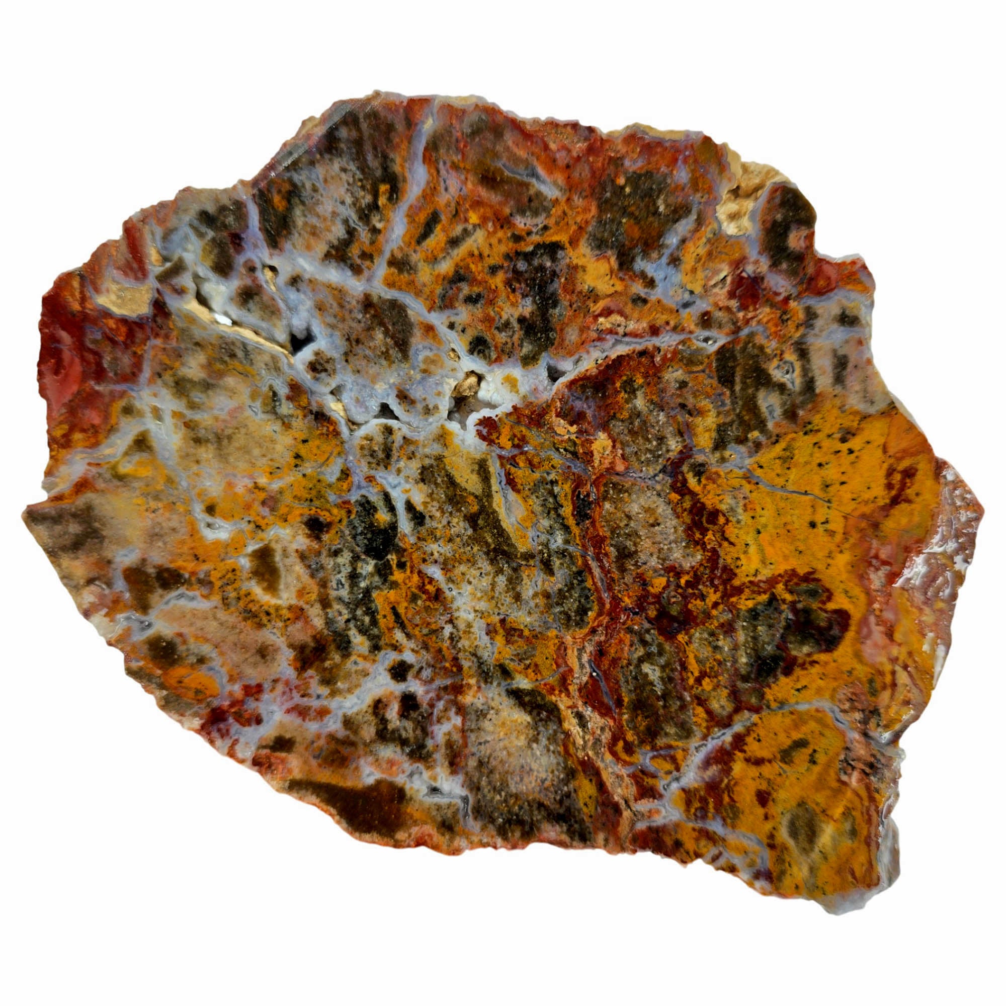 Hidden Canyon Moss Jasper Slab – Blue Druzy Flowing Splotches Utah #3890-Photo4