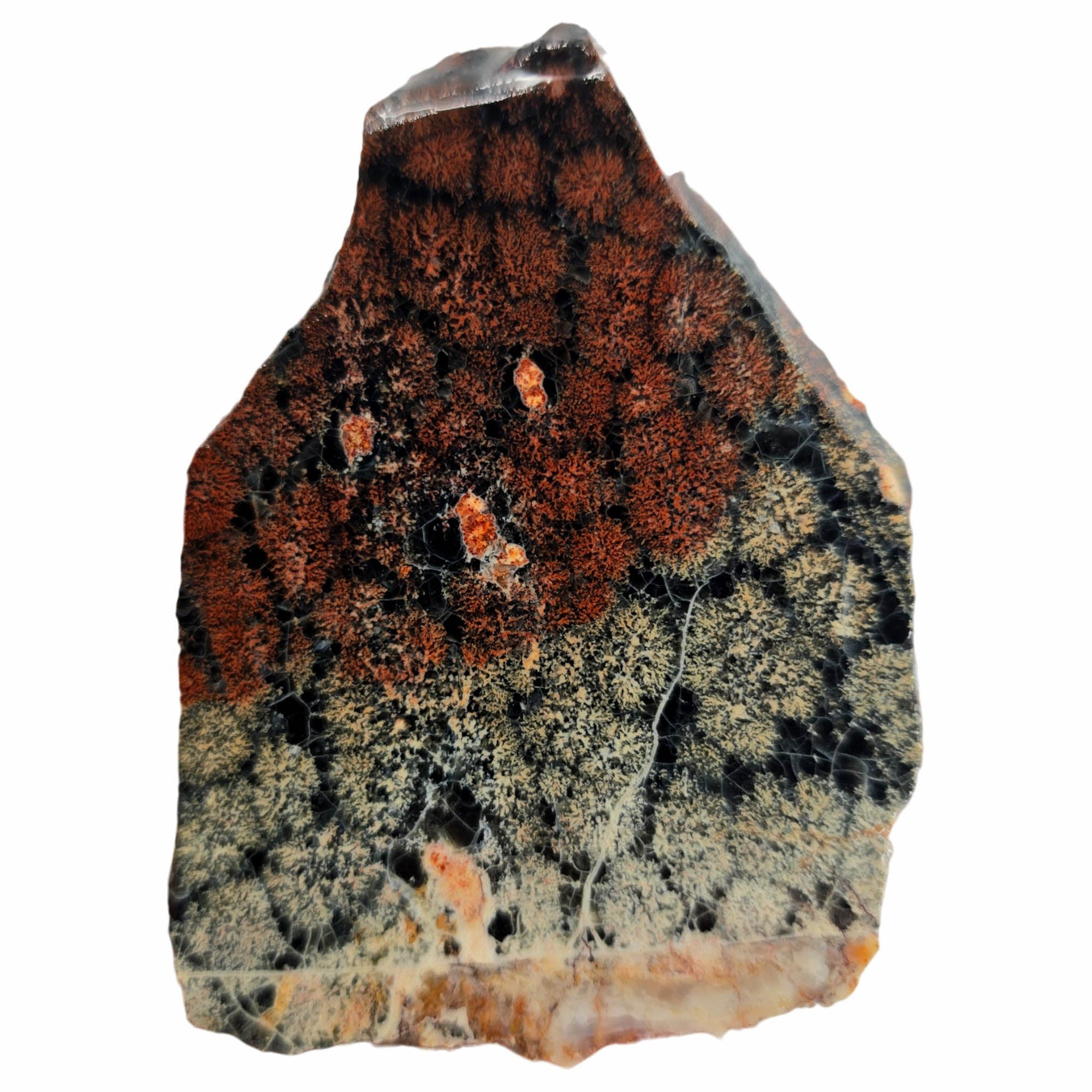 Flower Obsidian Slab - Dual-Tone Black White Red Fireworks Pattern #3892-Photo2