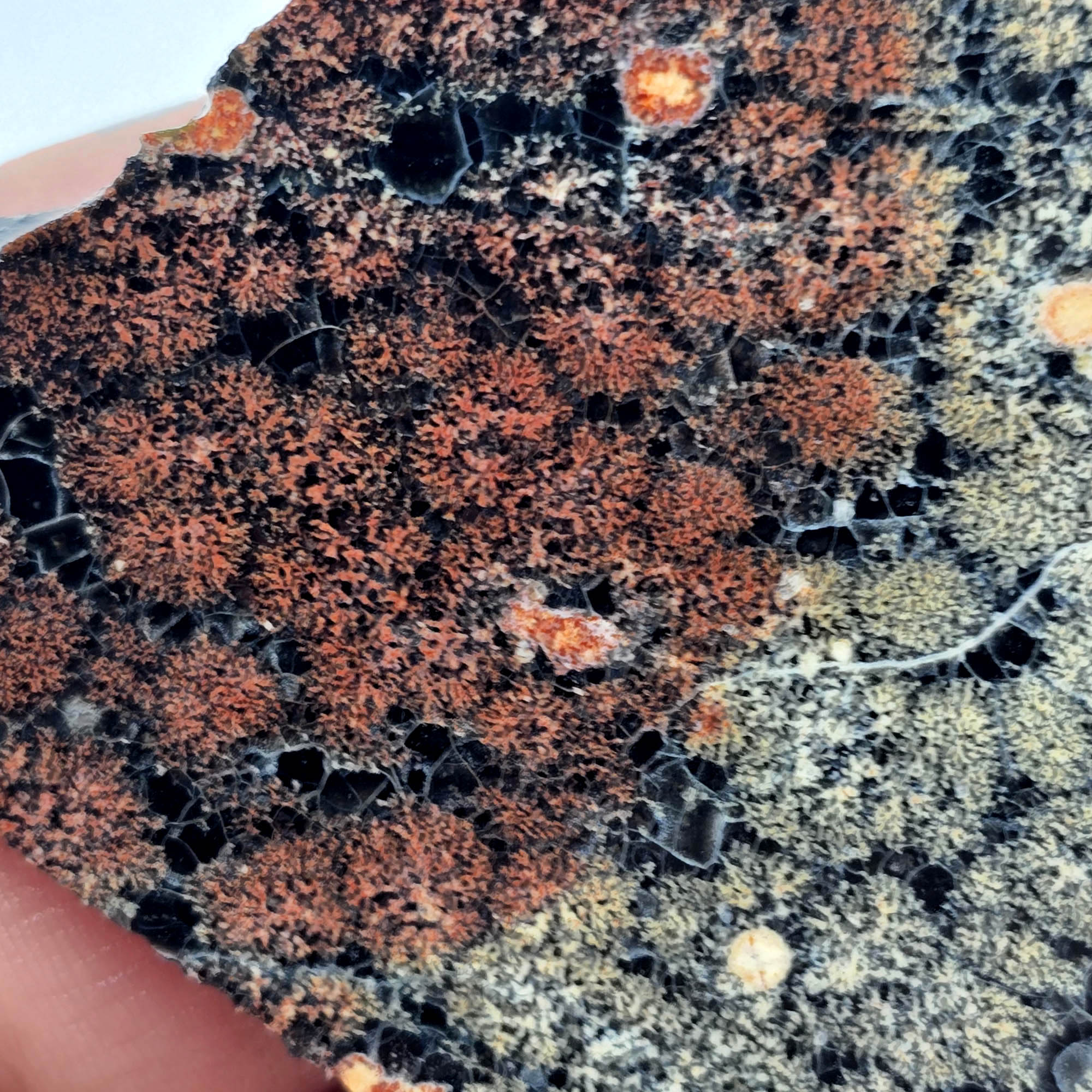 Flower Obsidian Slab - Dual-Tone Black White Red Fireworks Pattern #3892-Photo4