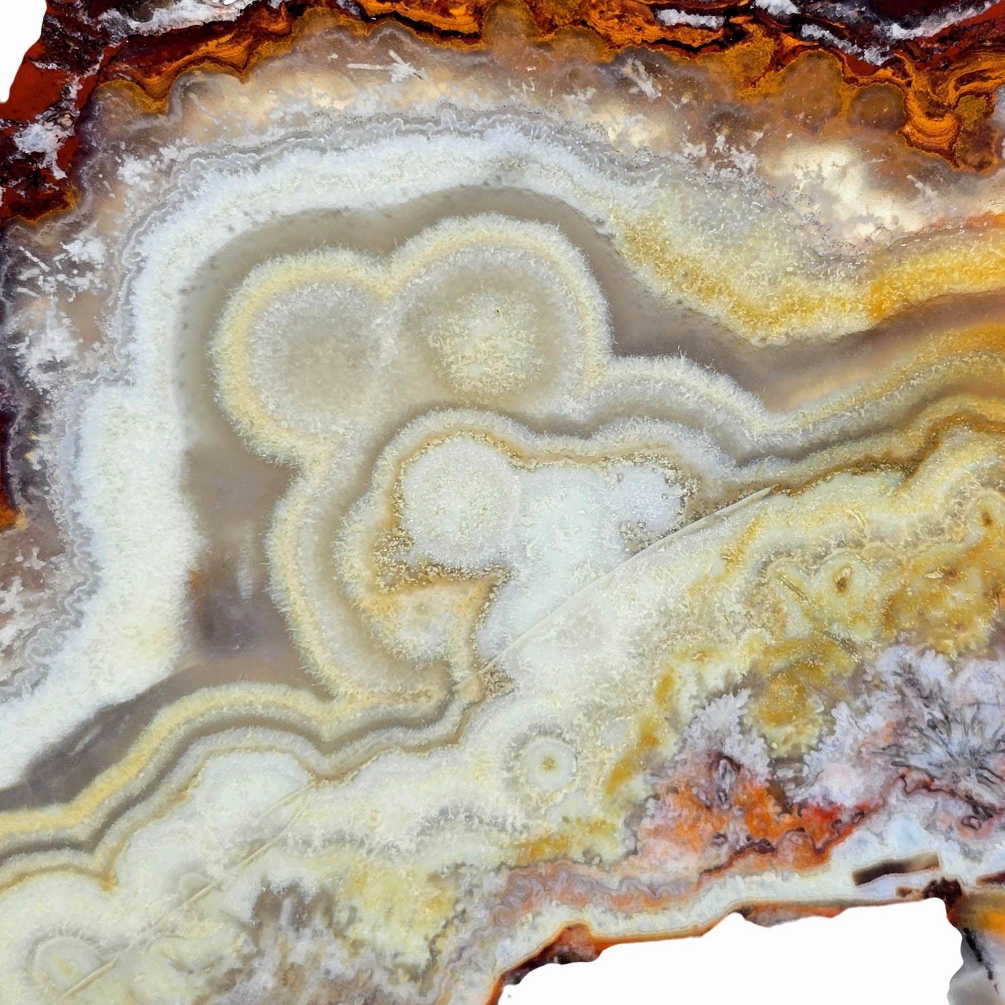 Flor de Durazno Lace Agate Slab – Heavenly Cloud Peach Lace! #3893-4