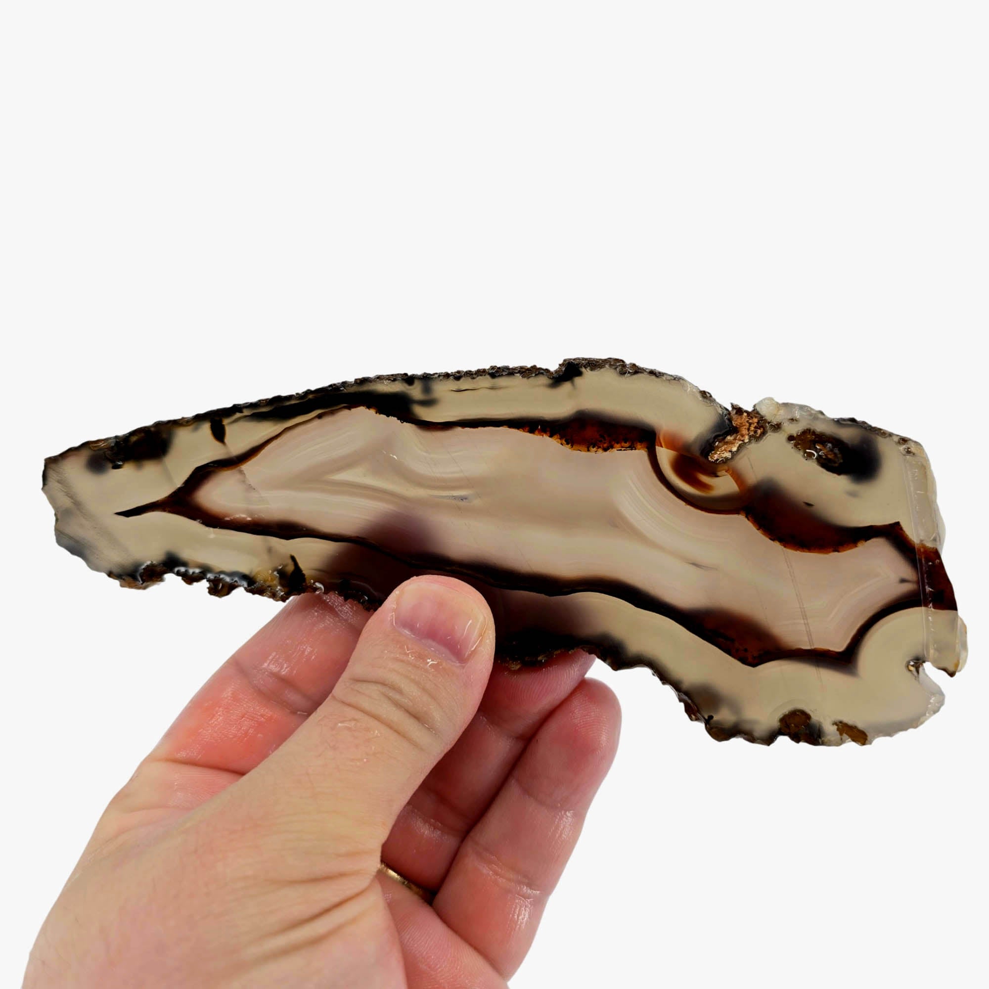 Brazilian Agate Slab - Translucent Blue Fortification Backlight Quality #3894-Photo5