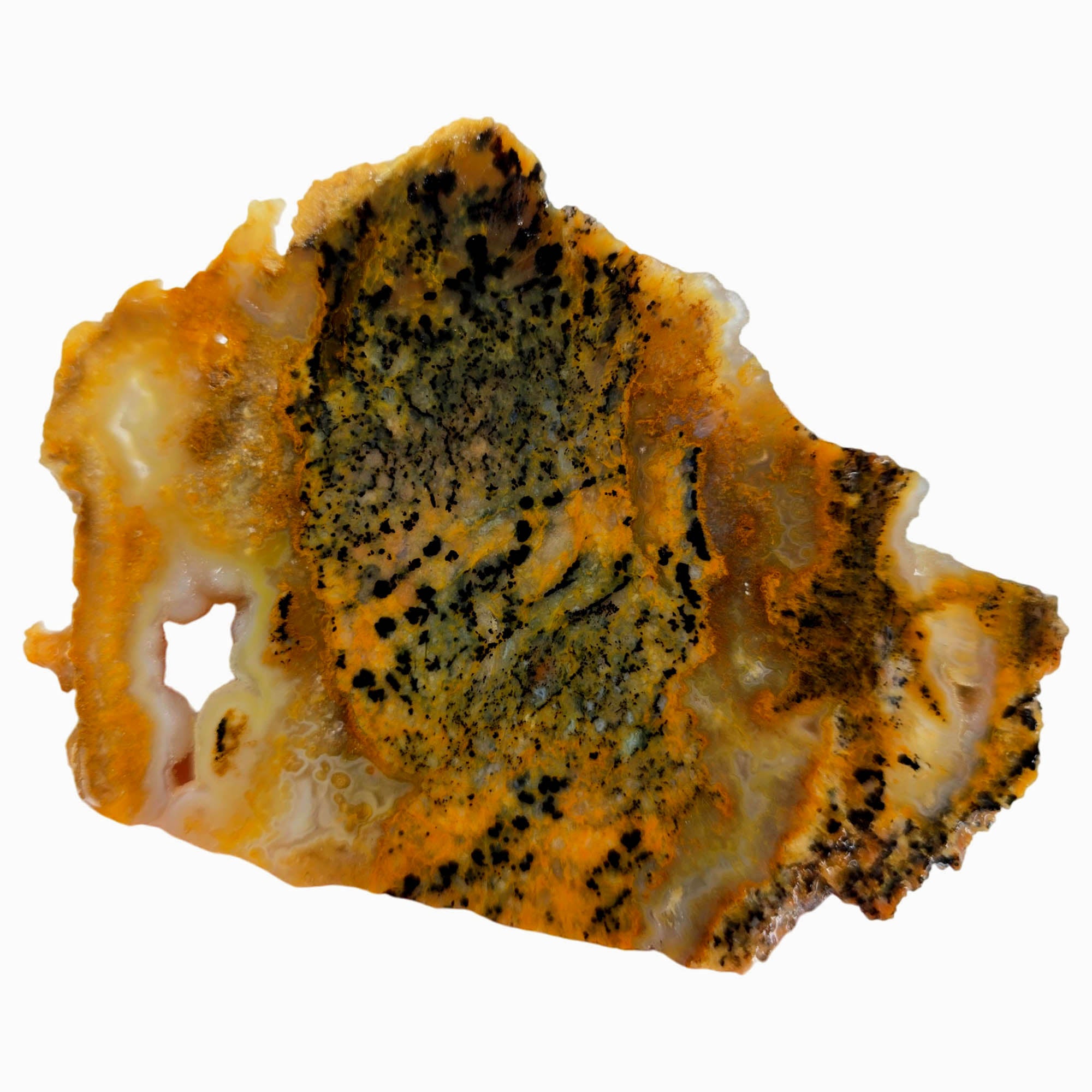 Cheetah Stone Slab – Classic Spotted Pattern Blue Druzy Pocket Brazil #3895-4