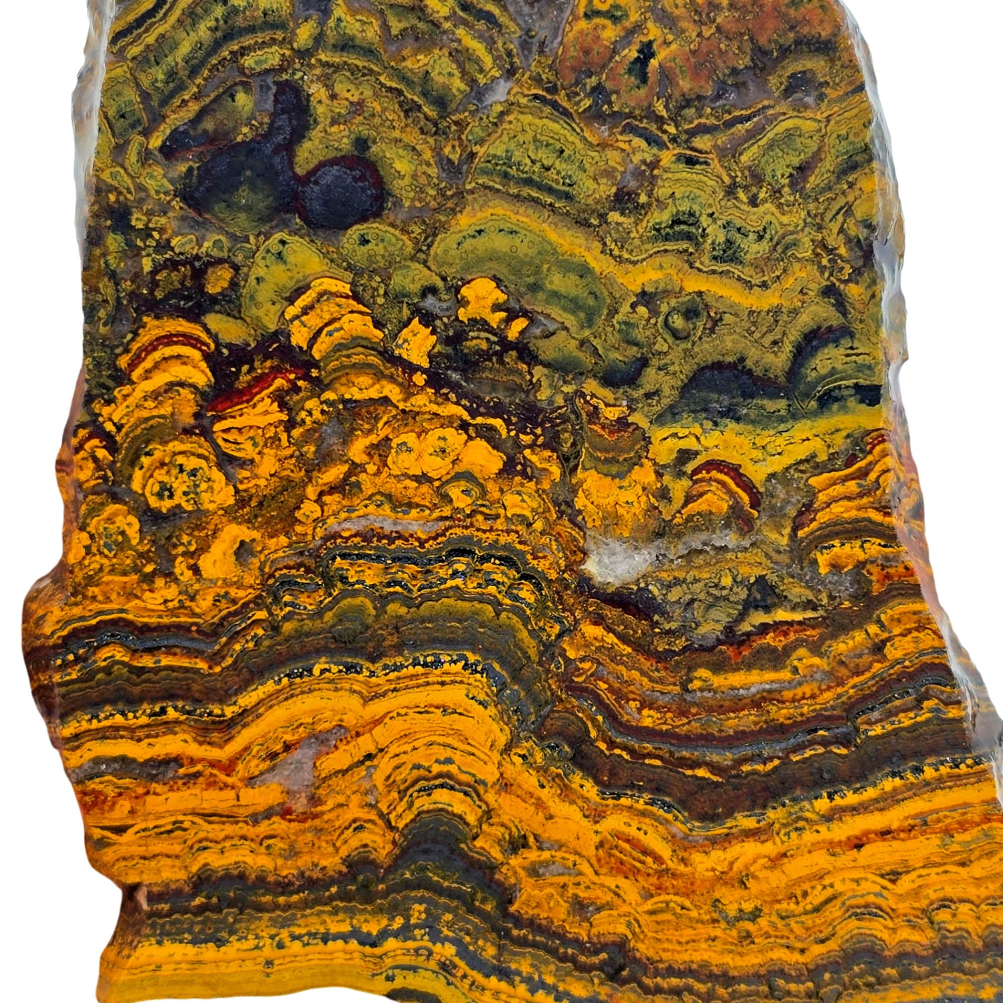 Apple Valley Jasper Slab – Hematite Flowers Wavy Lines Stromatolite #3899-Photo2