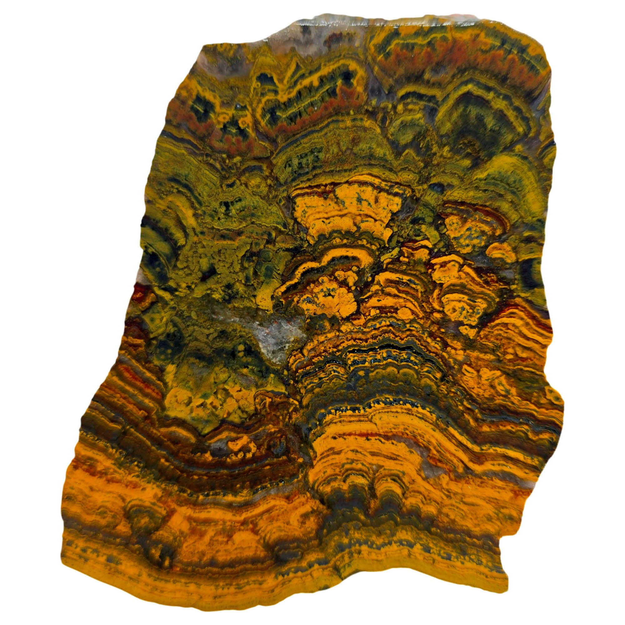 Apple Valley Jasper Slab – Hematite Flowers Wavy Lines Stromatolite #3899-Photo4