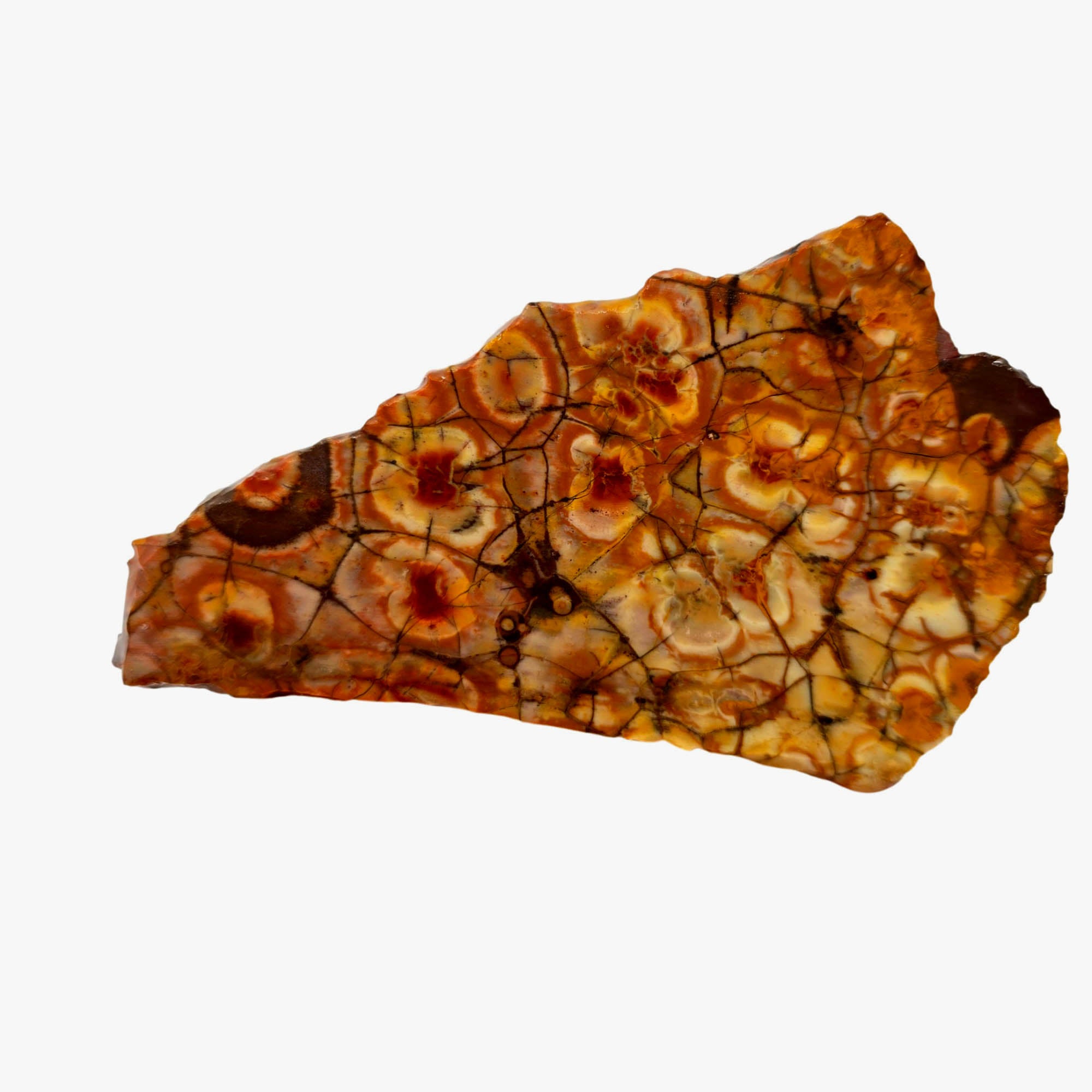 Birdseye Rhyolite Slab – Fiery Orange Red Spiderweb Orbicular Eyes #3900-Photo1