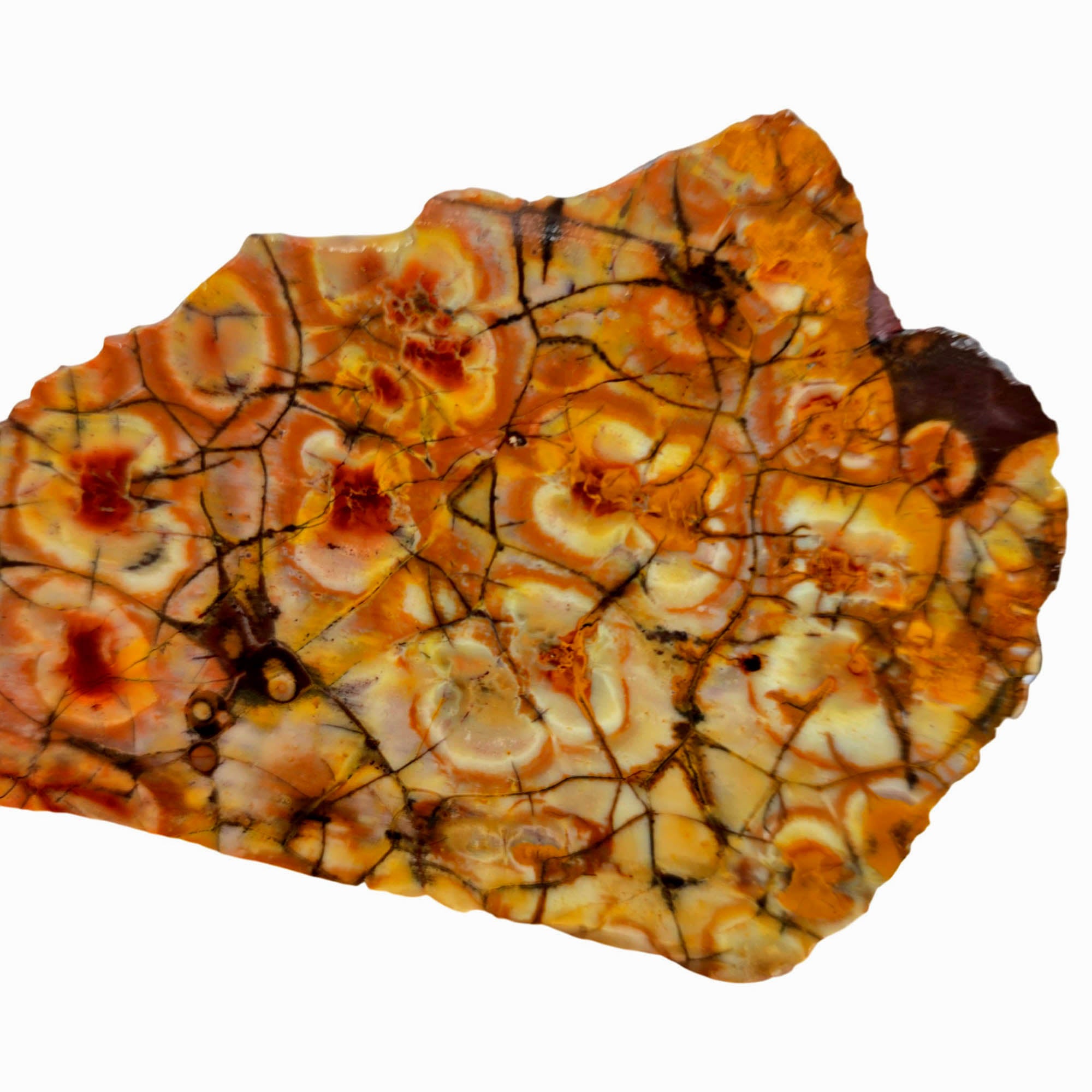 Birdseye Rhyolite Slab – Fiery Orange Red Spiderweb Orbicular Eyes #3900-Photo3