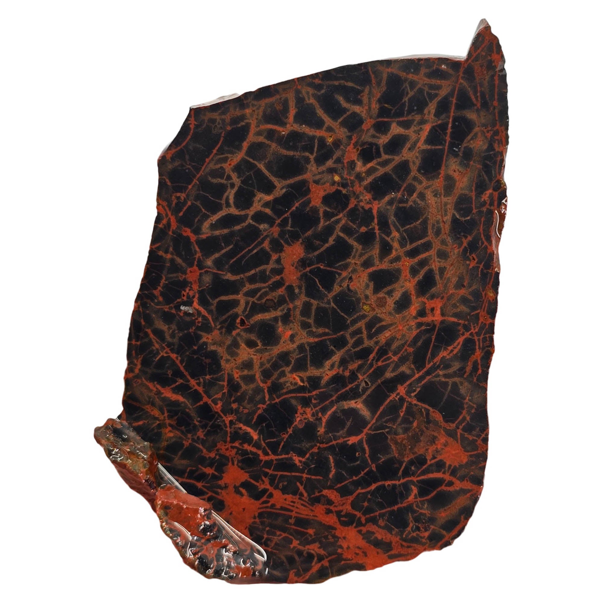 Spiderman Jasper Slab – Bright Orange-Red Webbing Black Background #3902-Photo3