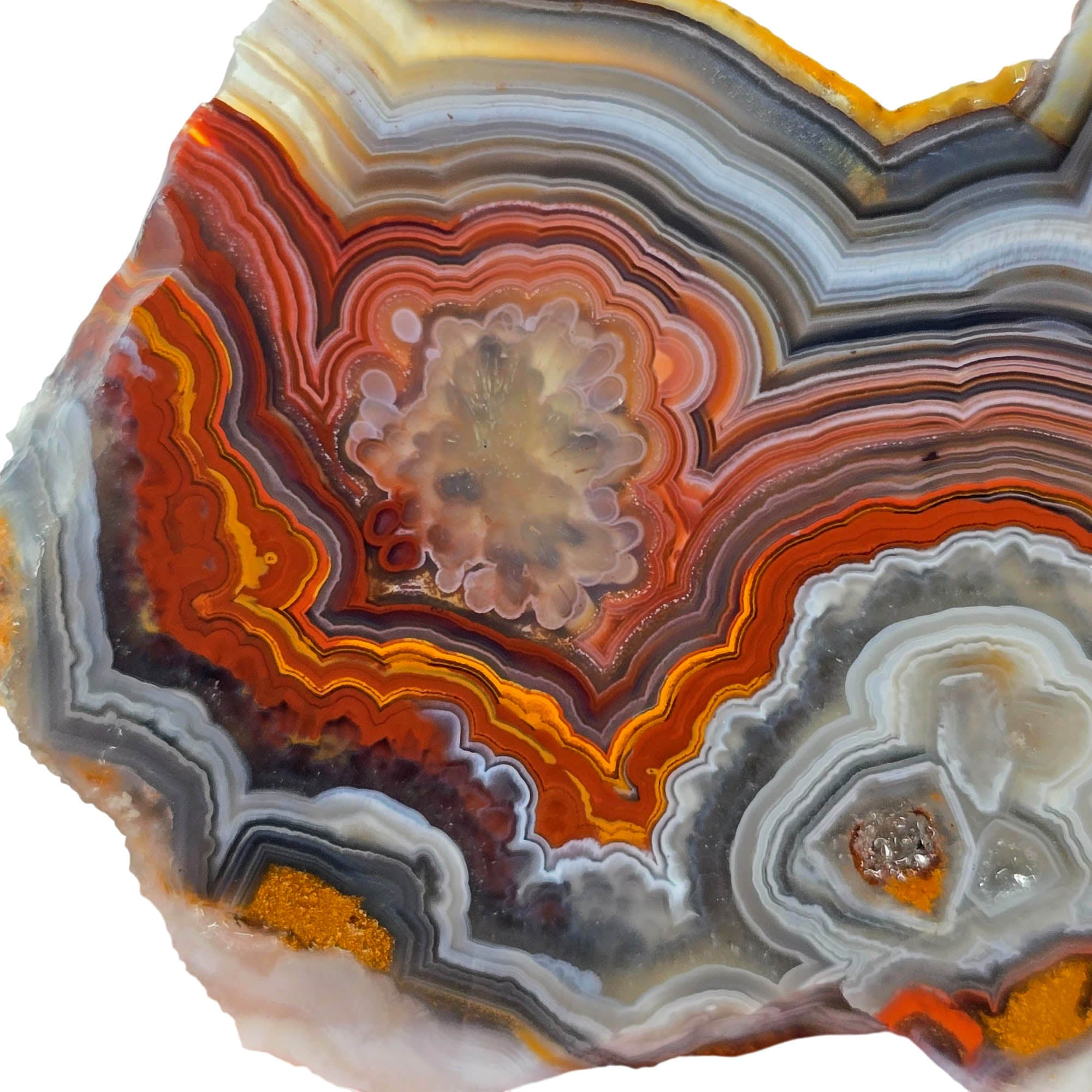 Laguna Lace Agate Slab – Vibrant Red Intricate Lace Pattern! #3903-Photo5