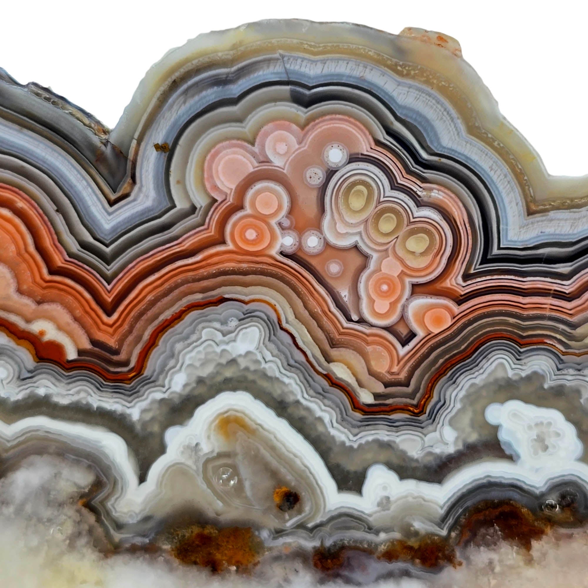 Laguna Lace Agate Slab – Vibrant Red Tubelike Eye Centers! #3905-Photo2