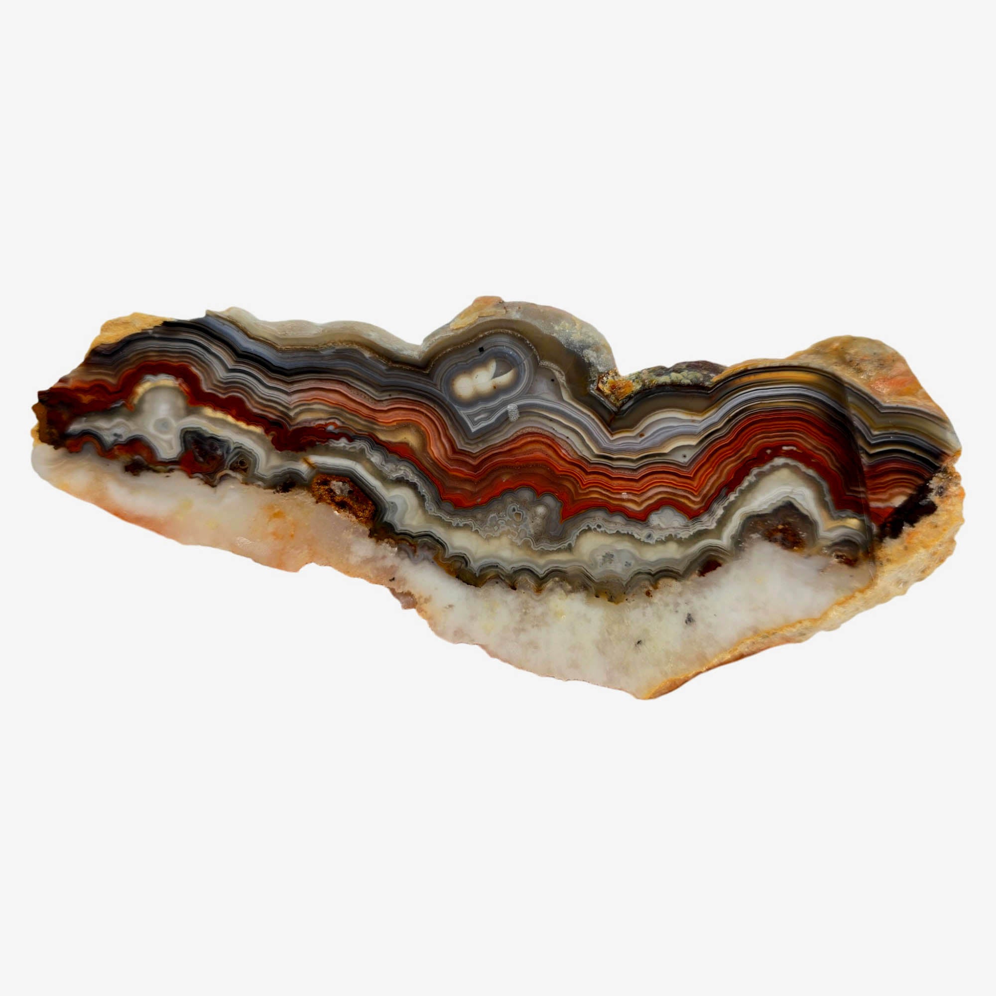 Laguna Lace Agate Slab – Vibrant Red Tubelike Eye Centers! #3905-Photo7