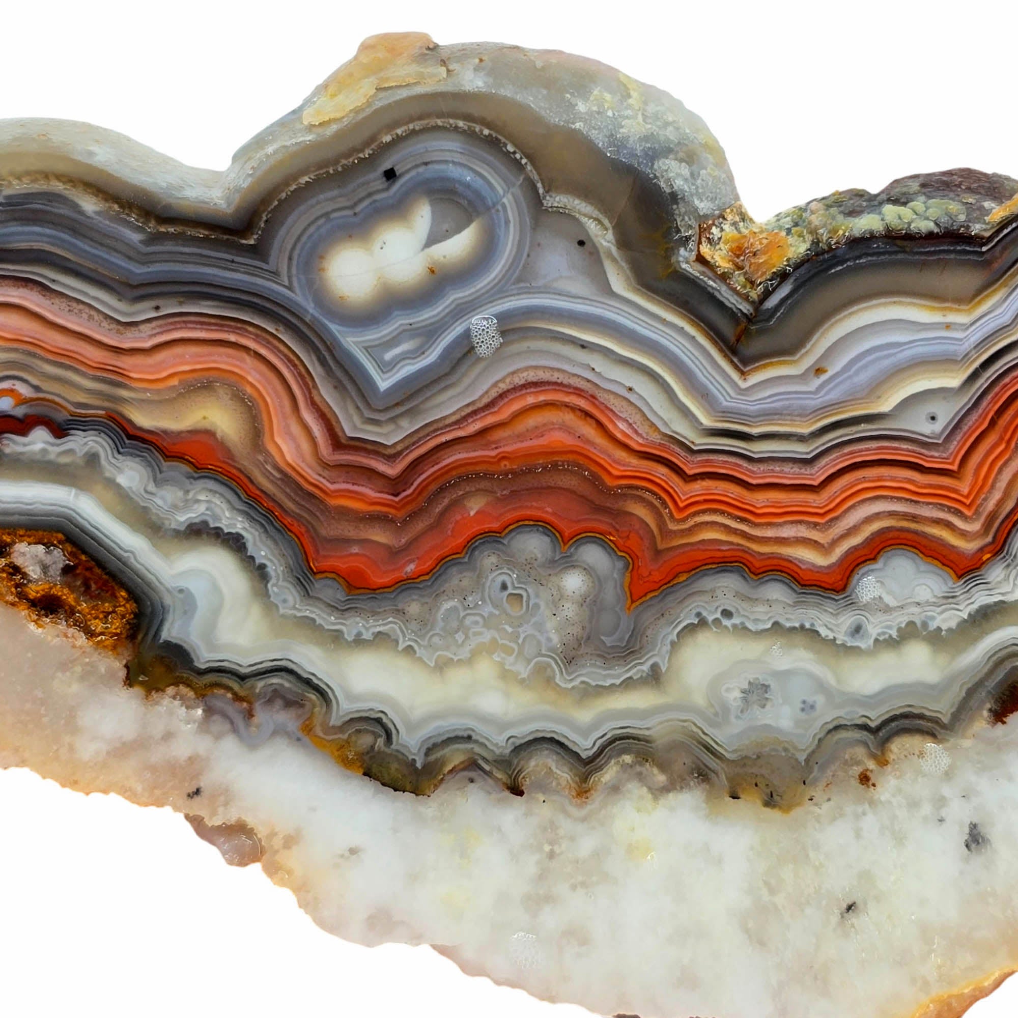 Laguna Lace Agate Slab – Vibrant Red Tubelike Eye Centers! #3905-Photo8