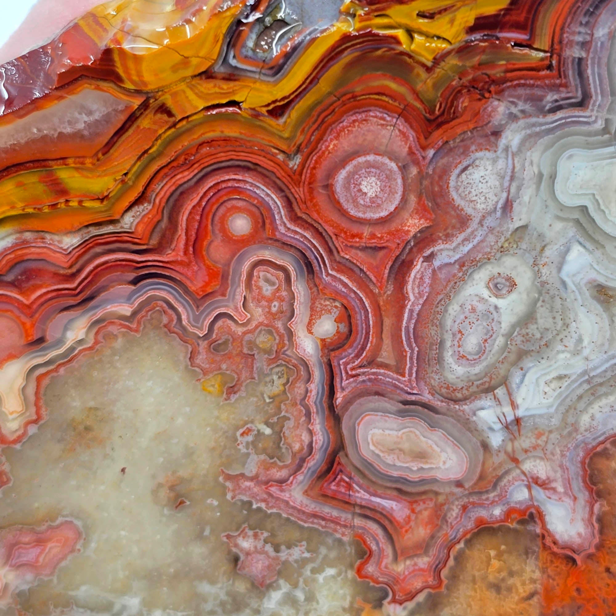 Laguna Lace Agate Slab – Fortification Circles Quartz River Mexican #3907-2