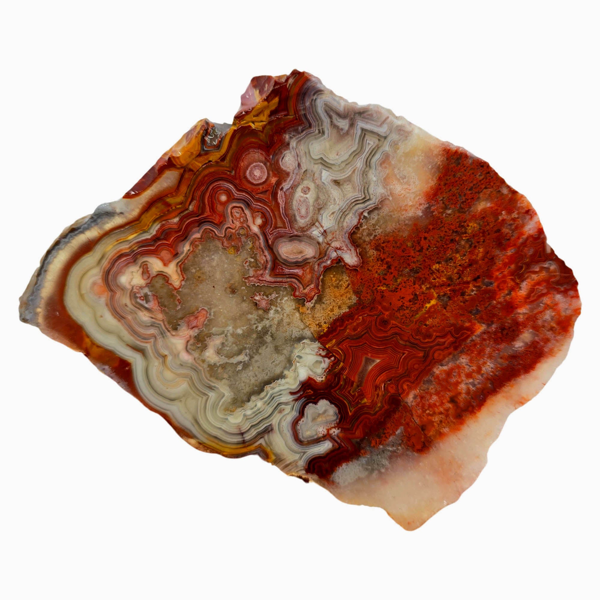 Laguna Lace Agate Slab – Fortification Circles Quartz River Mexican #3907-5