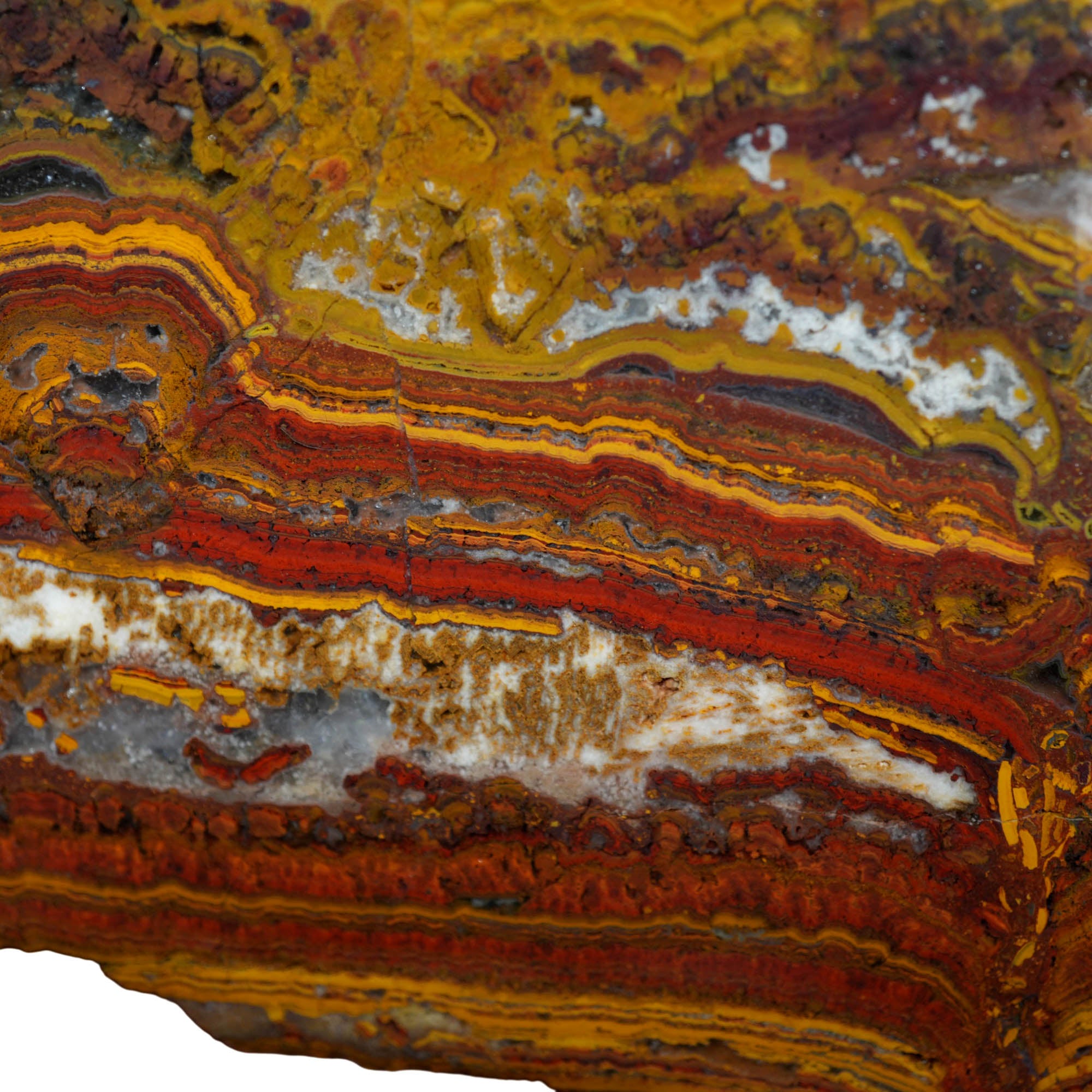 Apple Valley Jasper Slab – Flowing Hematite Flowers Oolitic Stromatolite #3908-Photo2