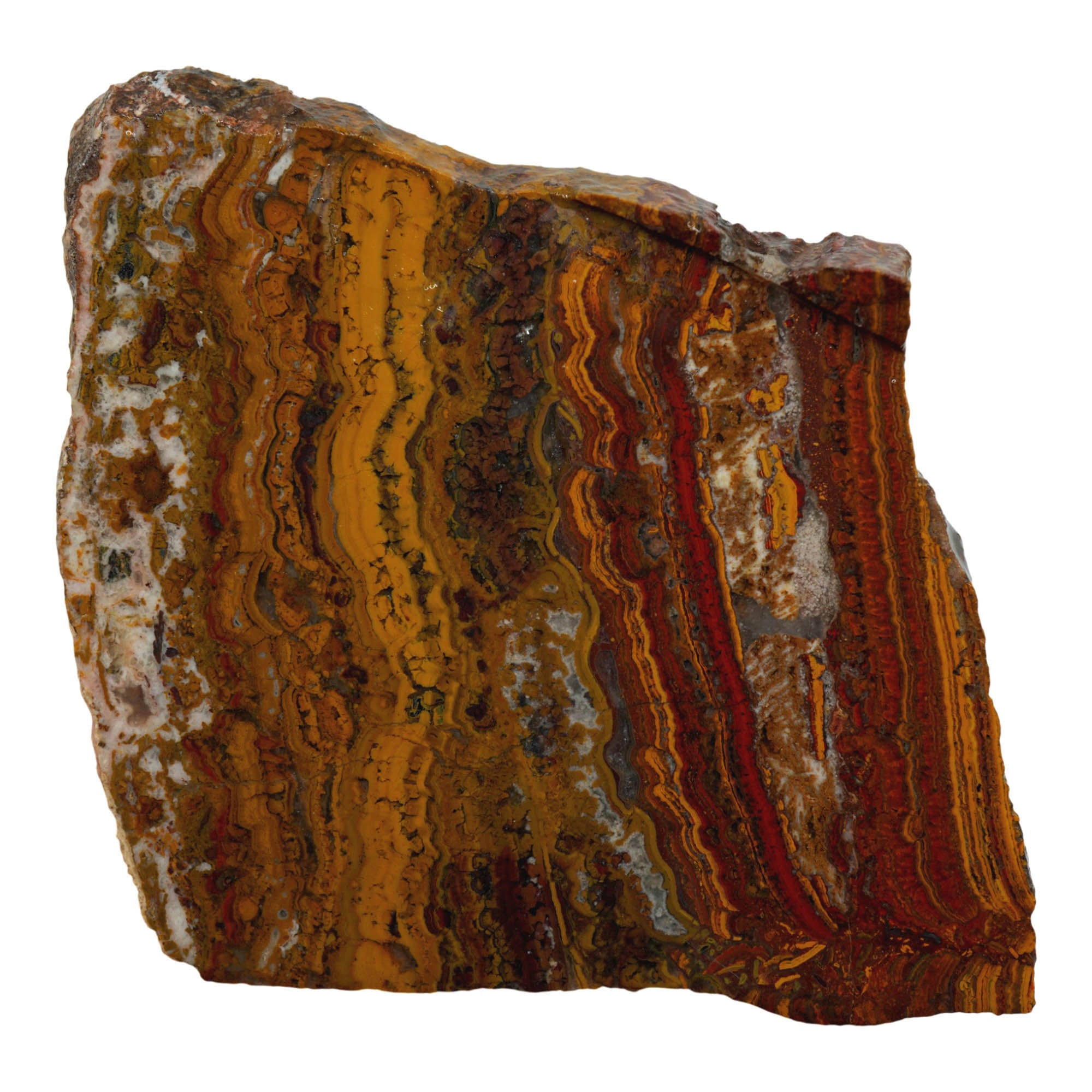 Apple Valley Jasper Slab – Flowing Hematite Flowers Oolitic Stromatolite #3908-Photo4