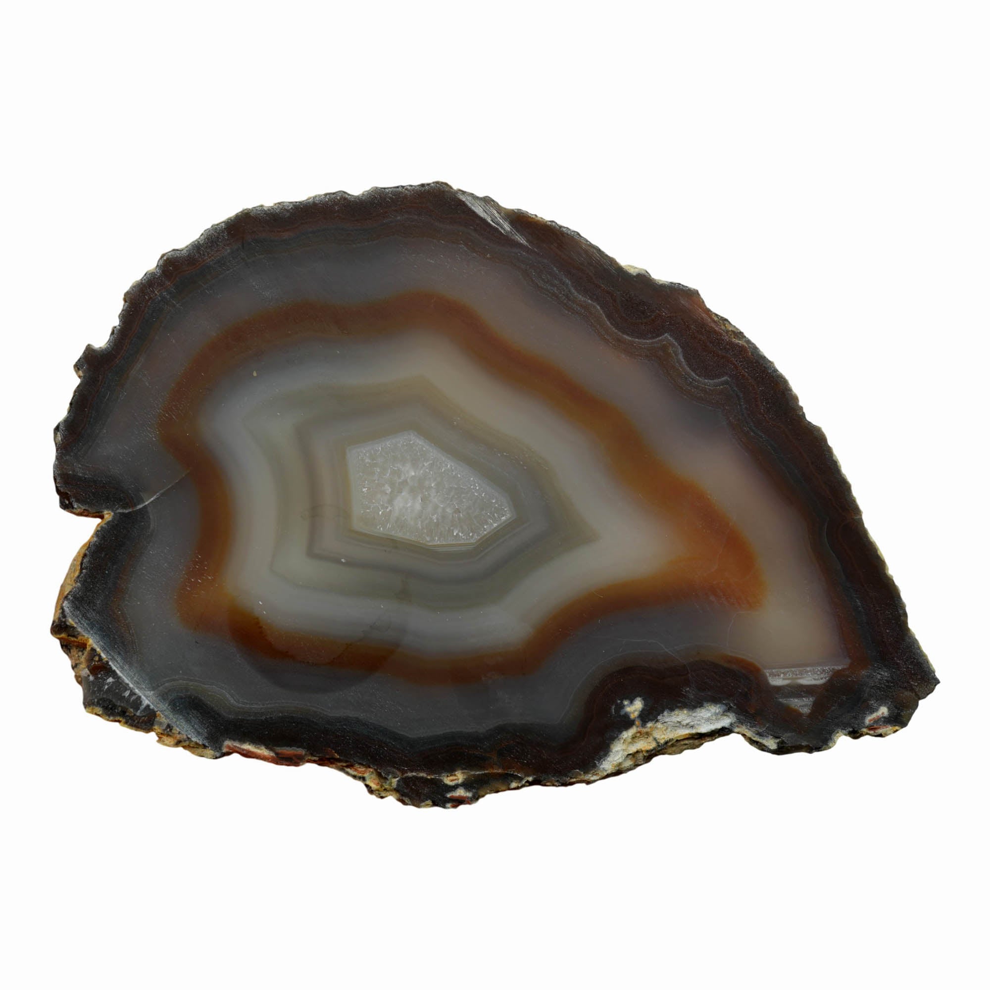 Brazilian Agate Slab Dry – Classic Fortification Banding Vibrant Pattern #3909-Photo3